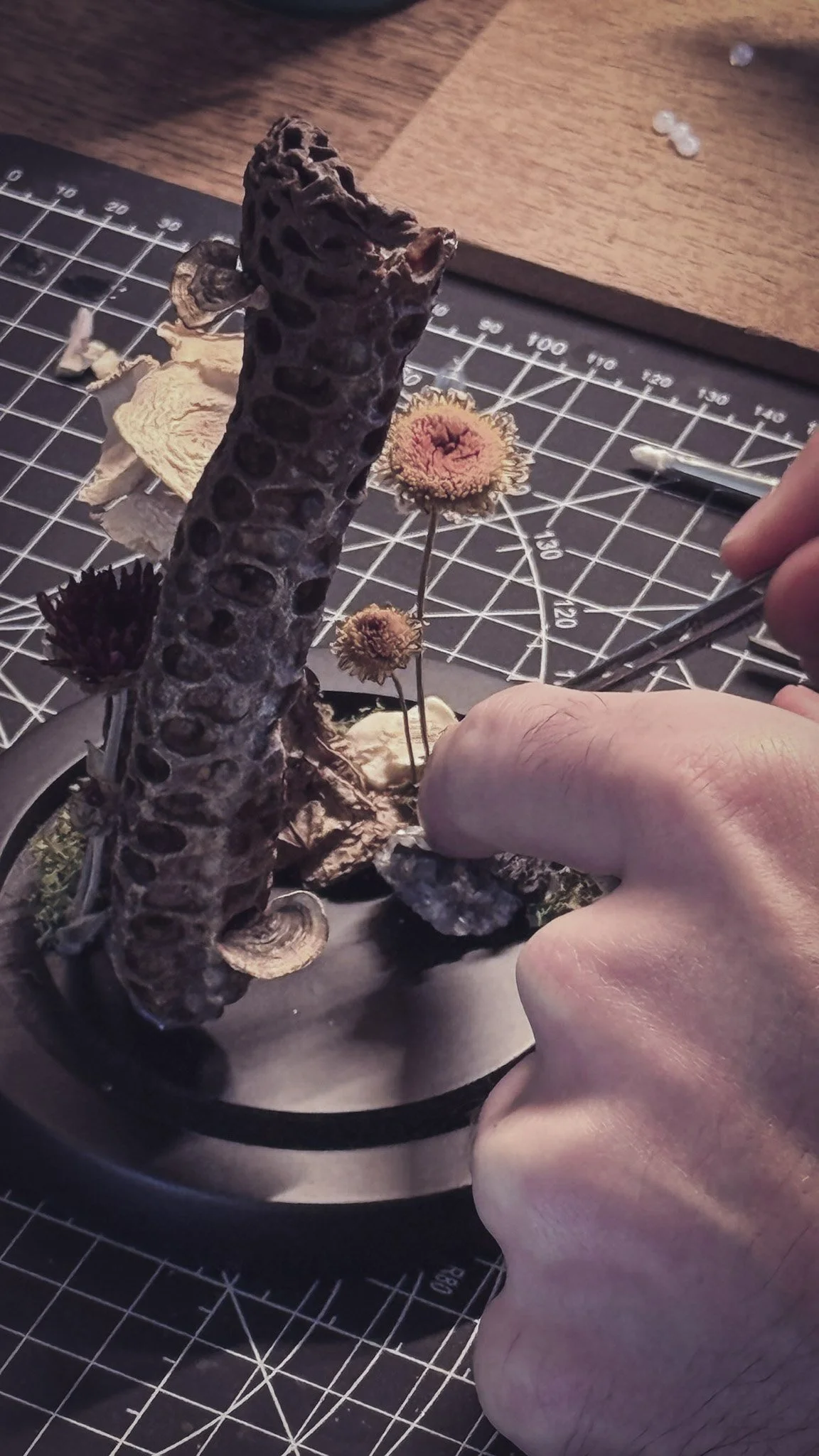 atelier-composition-fleurs-sechees-amaginarium.jpg