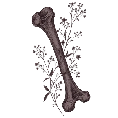Os anatomique accompagné de fleurs séchées