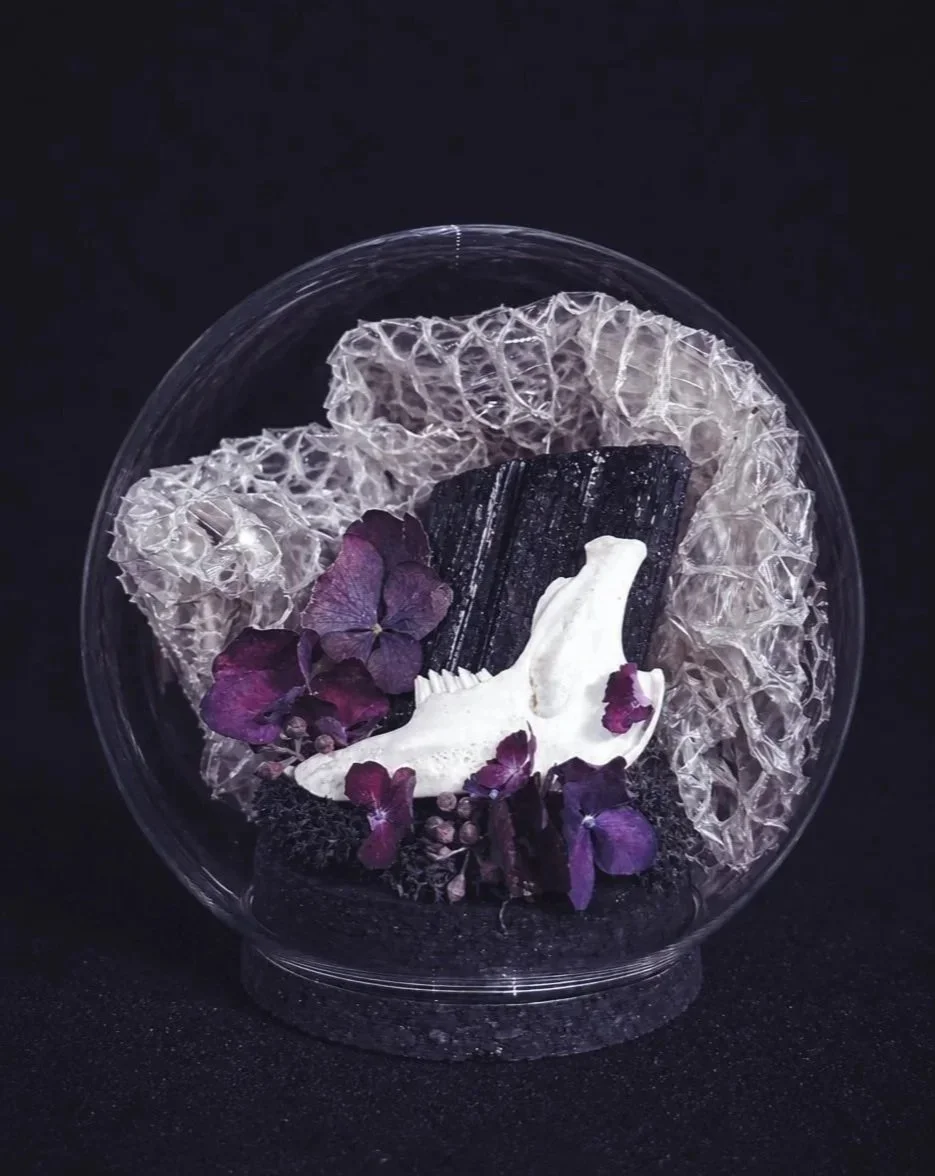 Éveil du printemps