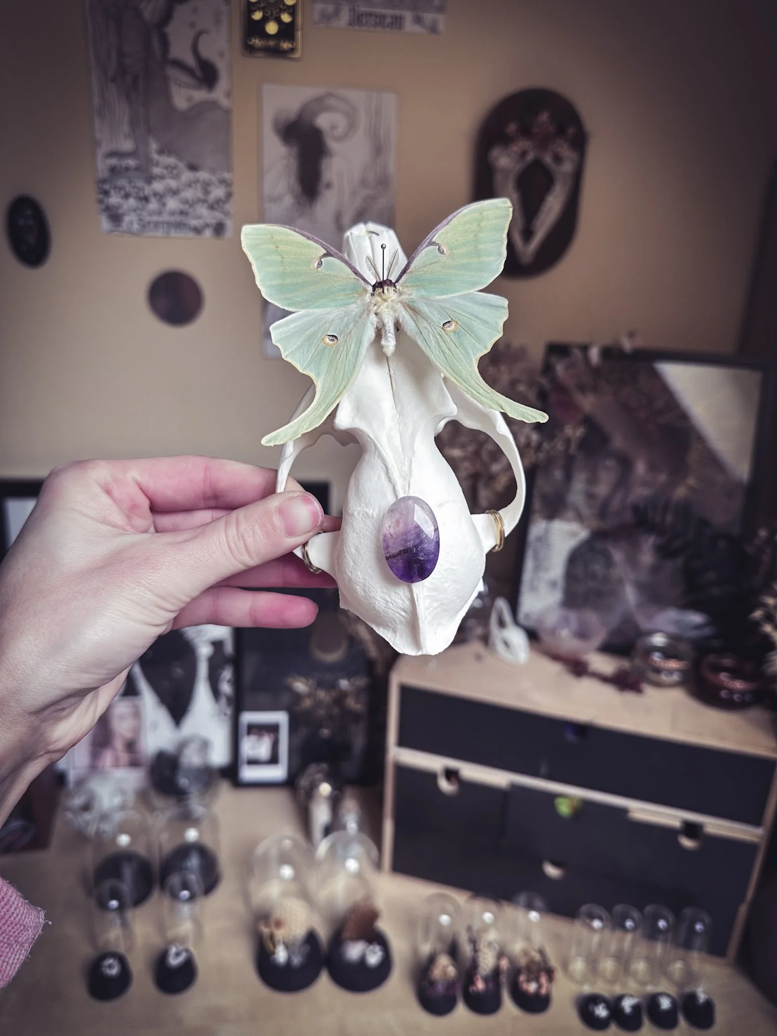 Un papillon en exhibited artisanat, avec un fond de décor contenant plusieurs autres objets artistiques et bijoux