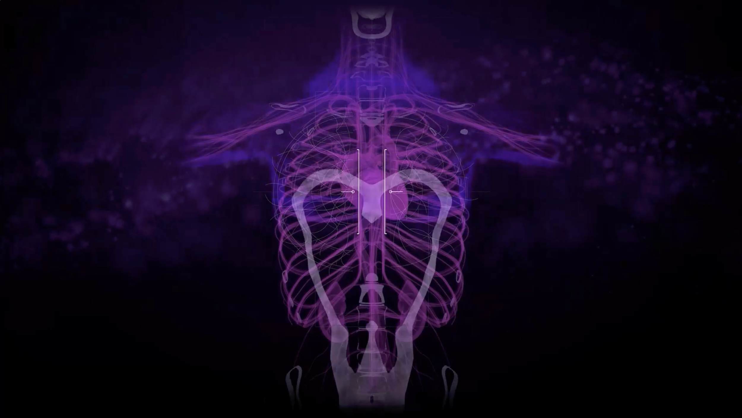 Captura de pantalla 2026-08-23 a las 4.34.31 p. m..png
