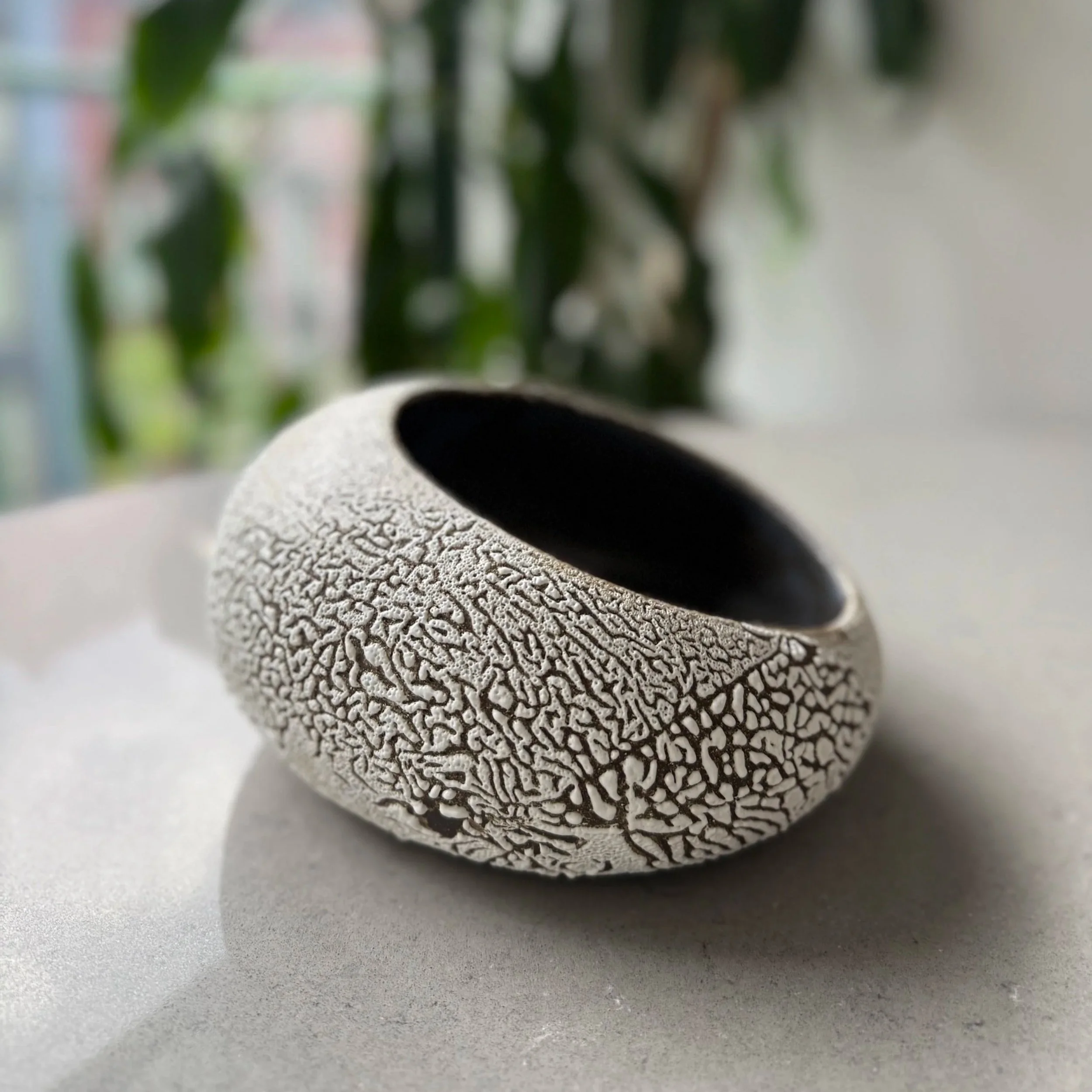 Close-up of a textured, round, object with a cracked, grey surface, resting on a flat, grey surface. Blurred green plants are in the background.
