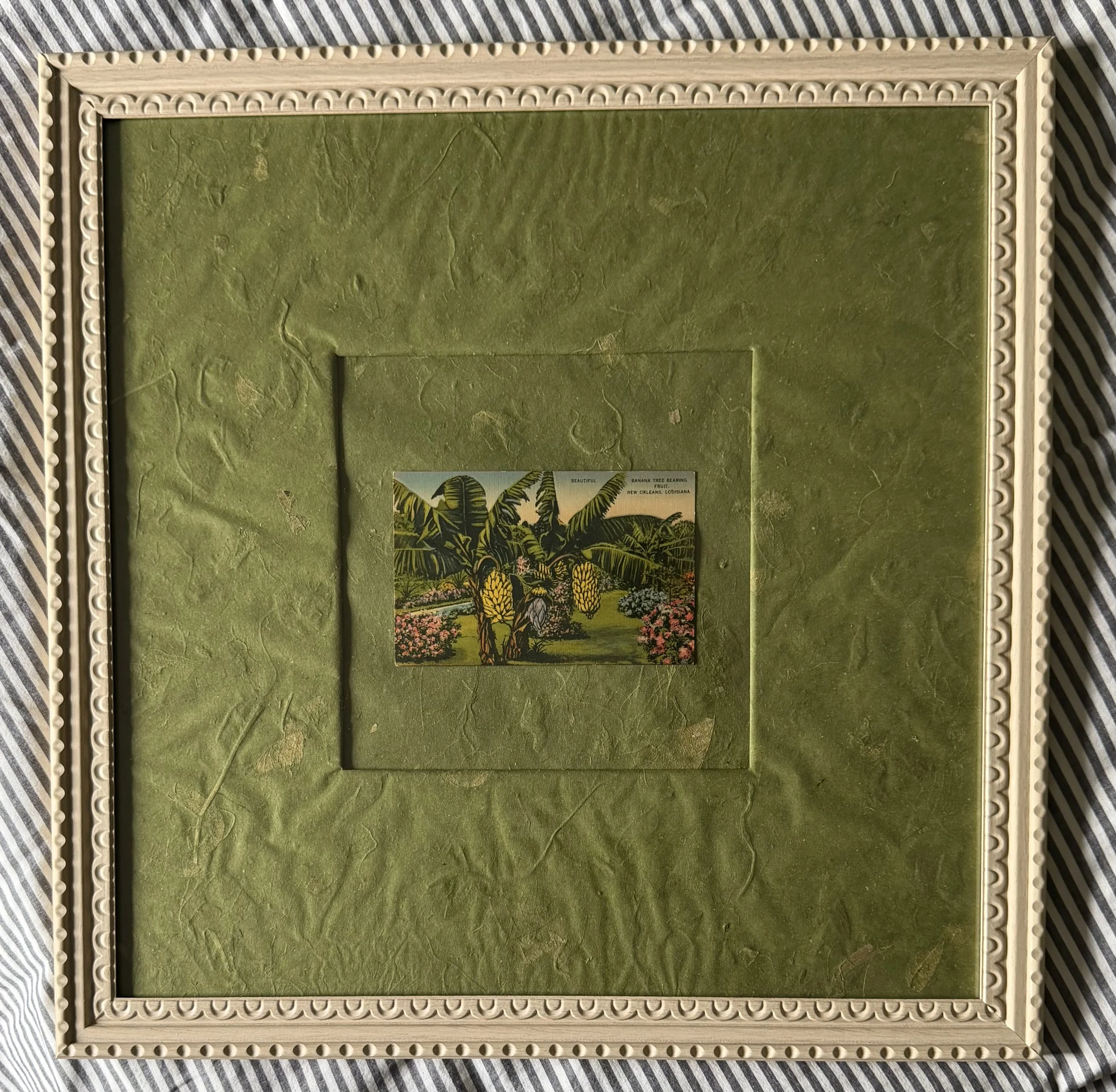 Framed New Orleans Postcard
