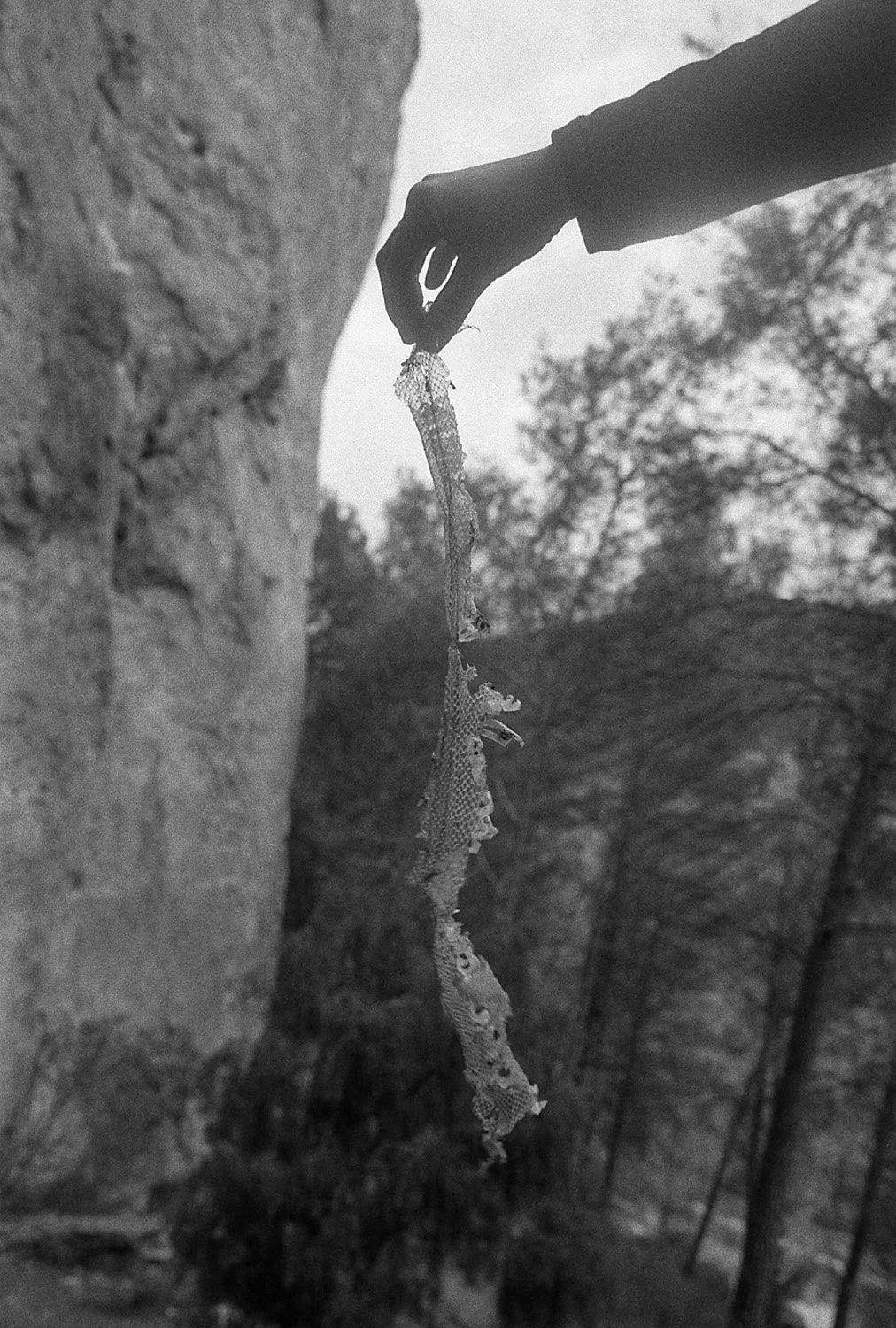 A black and white photo of a person’s hand holding a withered leaf or piece of fabric between thumb and forefinger, near a rough stone wall, with trees in the background.