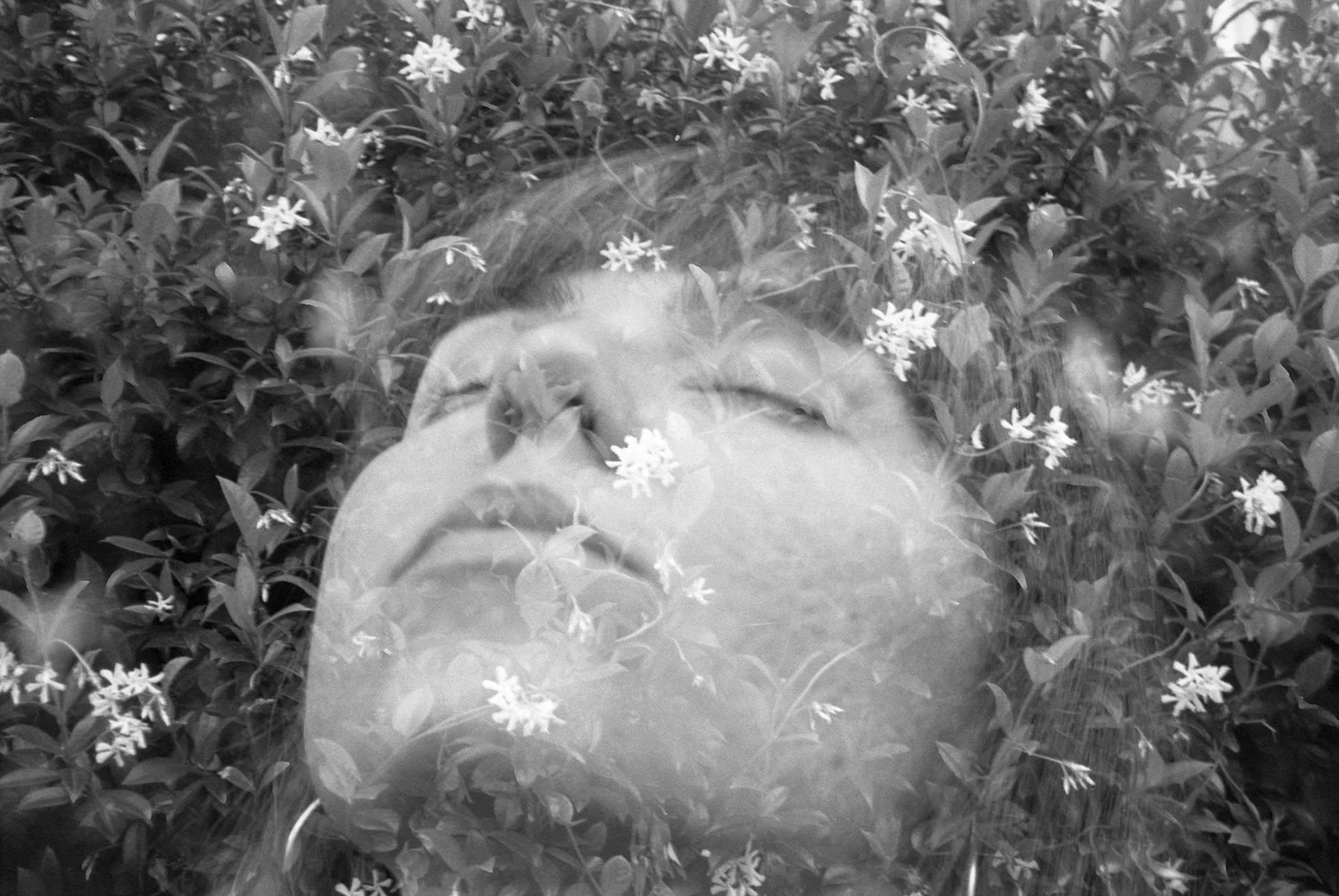 A person with closed eyes lying among dense foliage with small flowers, in black and white.