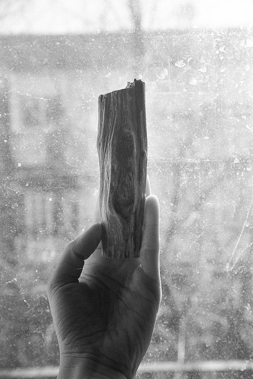 A person holding a piece of wood with a window in the background.