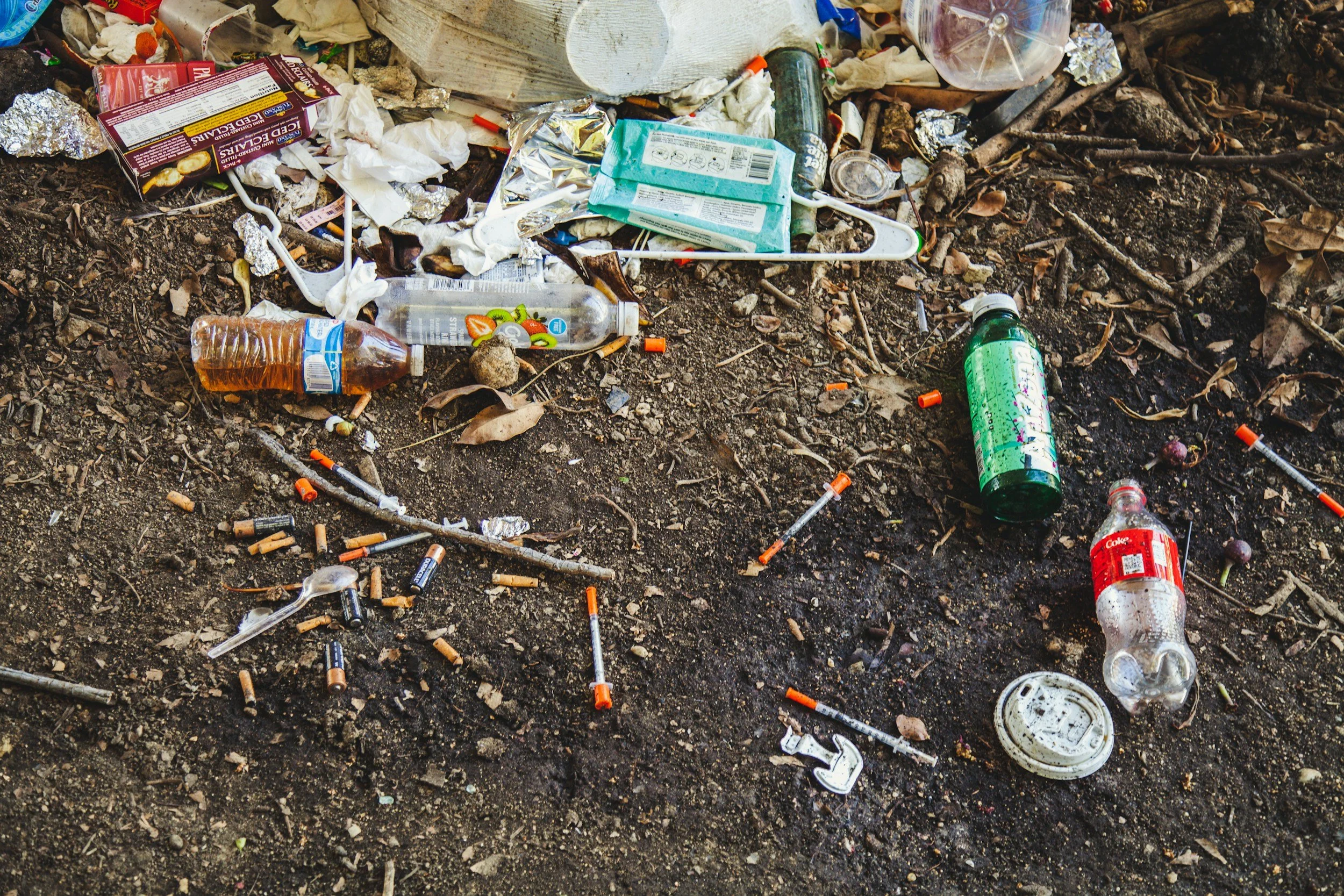 Los Angeles filth, homelessness, and crime