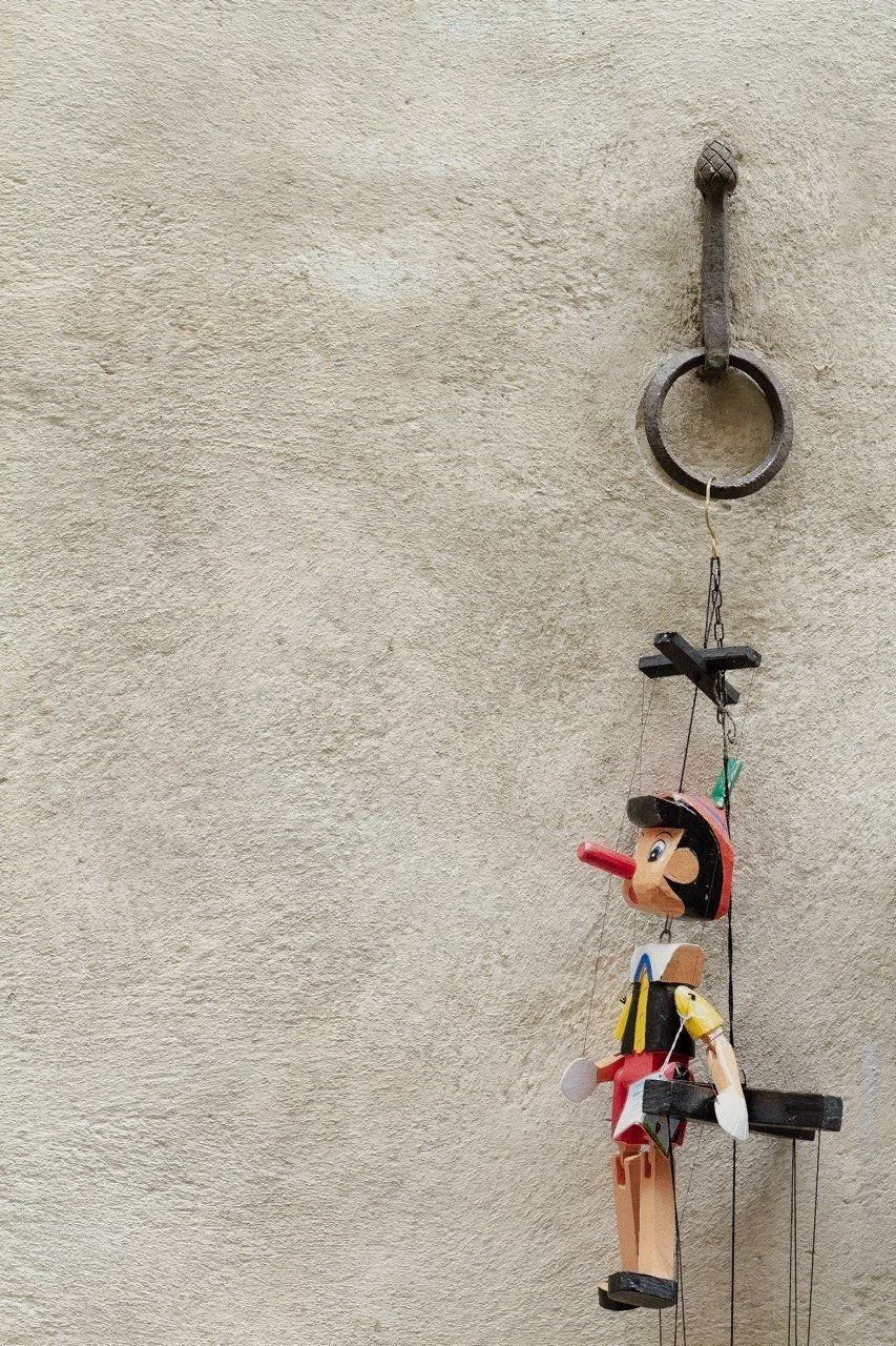 pinocchio_2015.jpeg