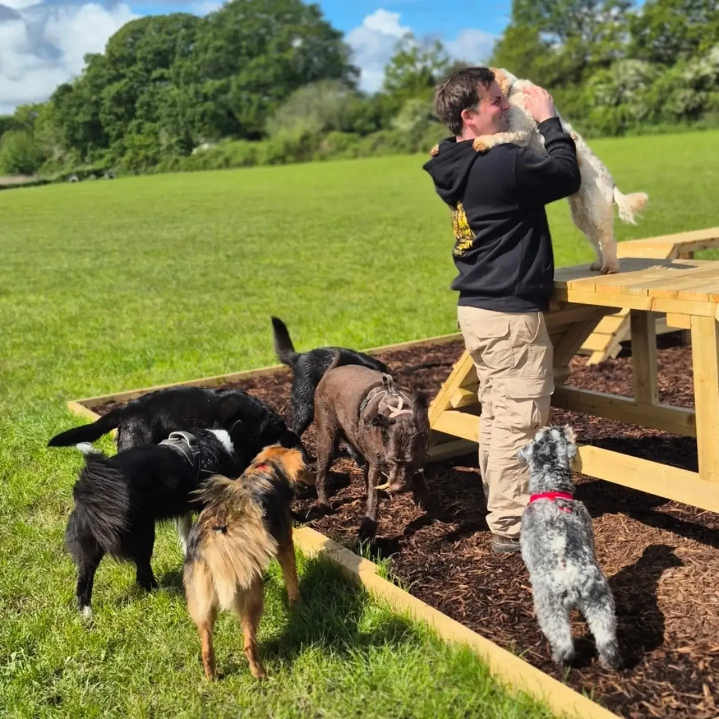 ✨ Hear Ye, Hear Ye! A Humble Request from The Guild ✨

Fellow adventurers, if we've had the honour of walking beside your four-legged companion, cared for your beloved pets, or simply made you smile along the way, we'd love to ask for one small favou