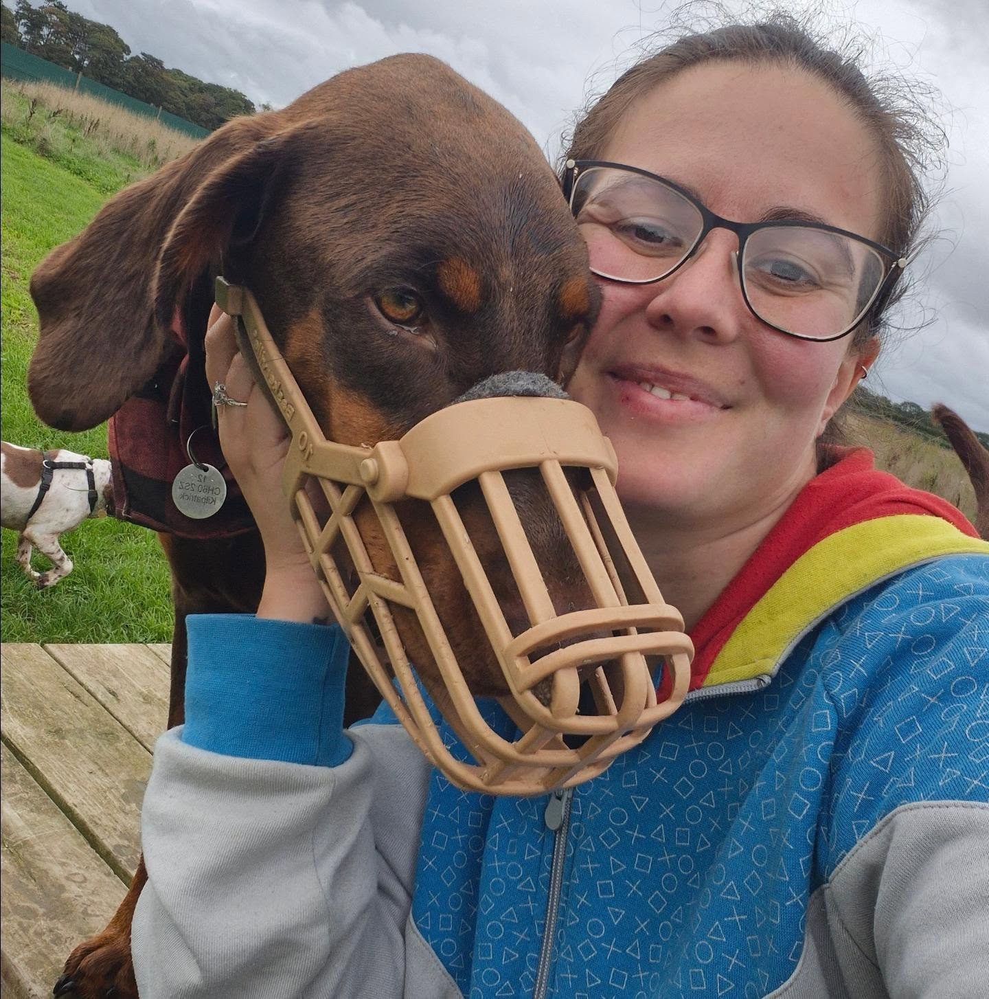 This beautiful boy went to sleep over the weekend and woke up over the rainbow bridge 🌈 Louie was so so loved, and his incredible owners at @dogsgolive did absolutely everything they could for him. We will miss his antics and his ball stealing (the 
