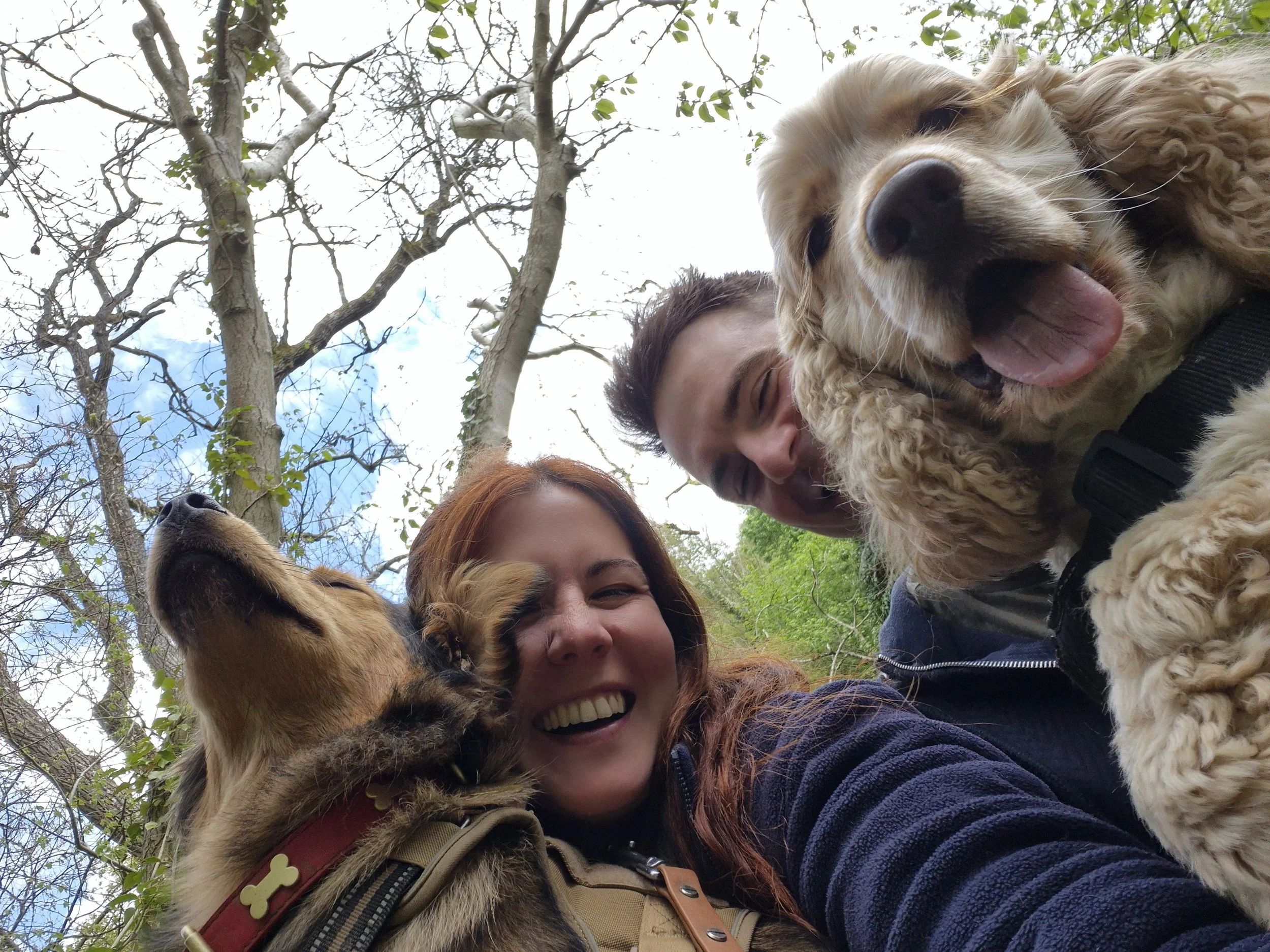 A woman and a man smiling outdoors with two dogs, one golden retriever and one shepherd, under a tree with leaves and blue sky visible.
