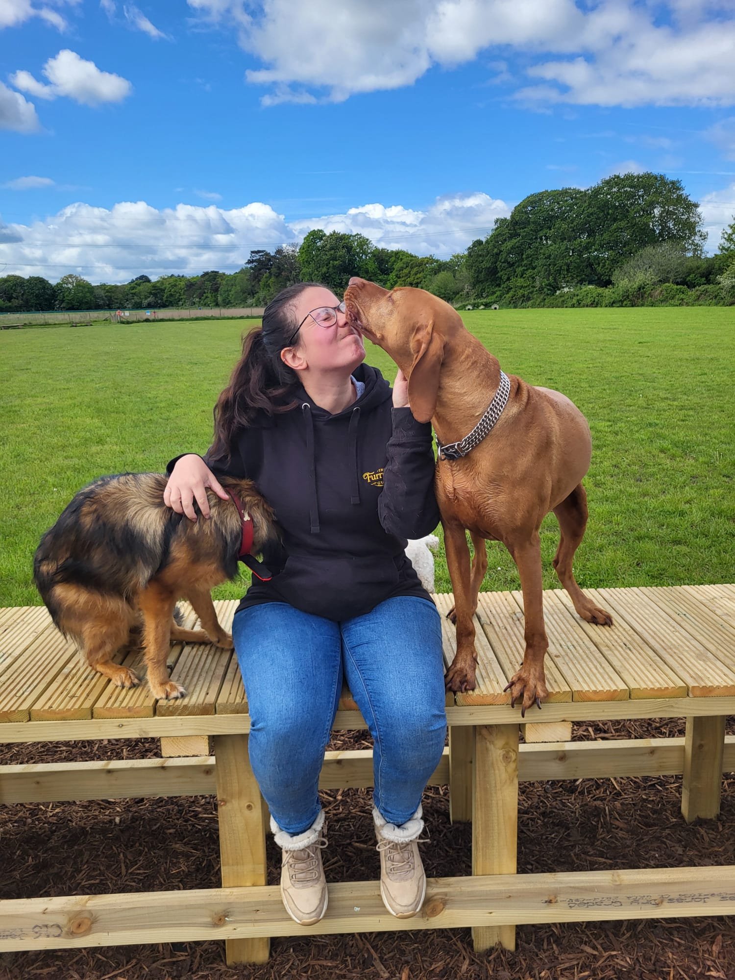A woman sitting on a wooden bench outdoors with two dogs, one brown and one black and brown, forming a heart shape with their noses near her face. The background has a green field, trees, and a blue sky with white clouds.
