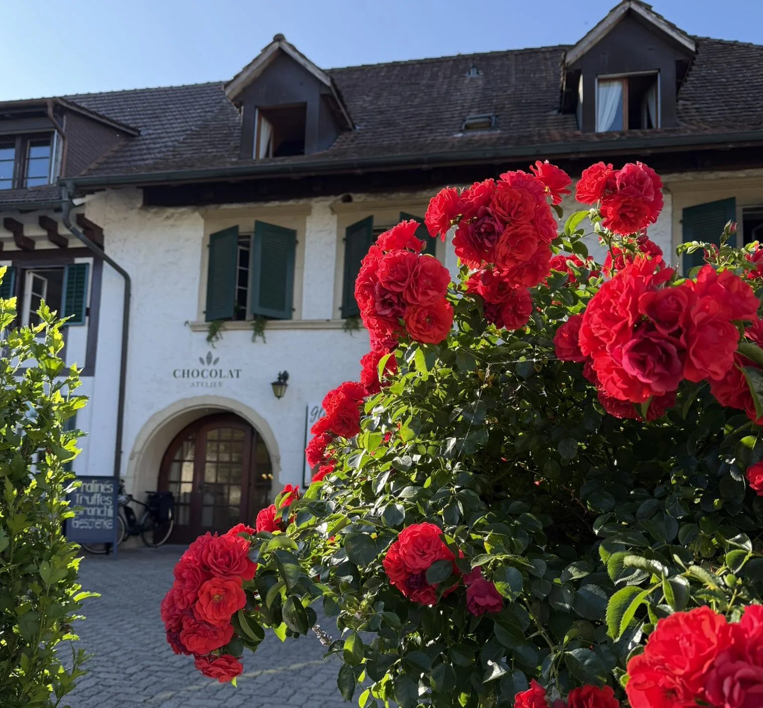 Rote Rosen vor einer weißen Gebäudefassade mit grünen Fensterläden, im Hintergrund ein mehrstöckiges Haus mit Schornstein und einem Laden namens "Chocolat Atelier".