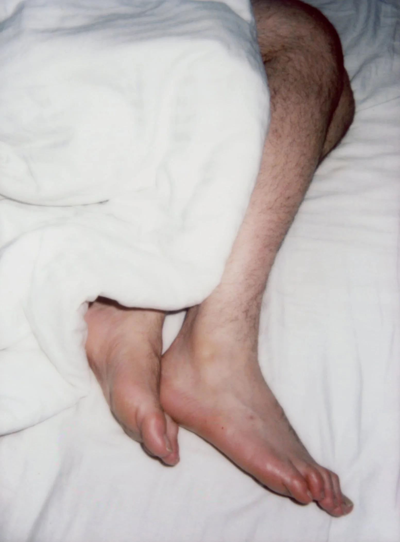  ©E.English.jpg