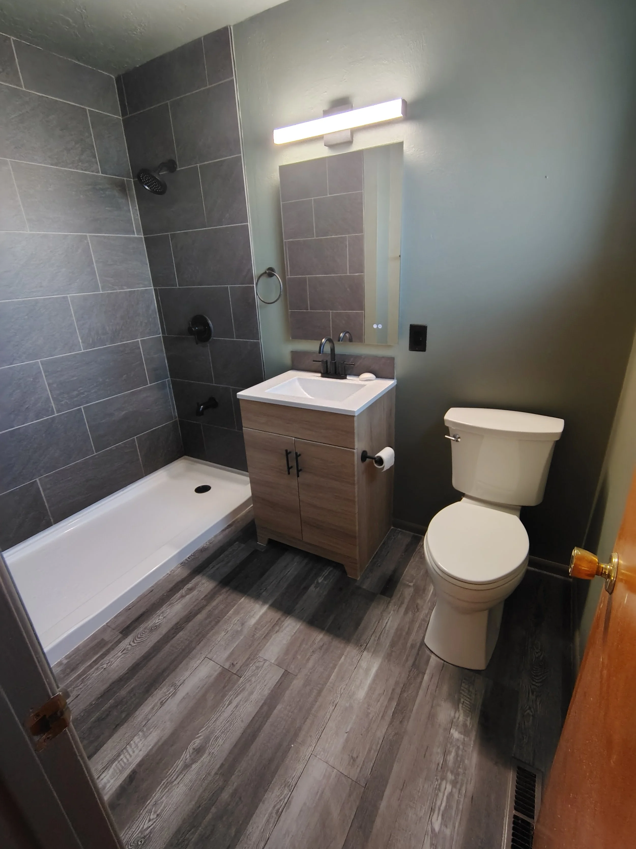 Bathroom with a shower area on the left, a mirror with a light above it in the center, and a toilet on the right. The floor has dark wood-like tiles, and the wall behind the mirror is painted a light green color.