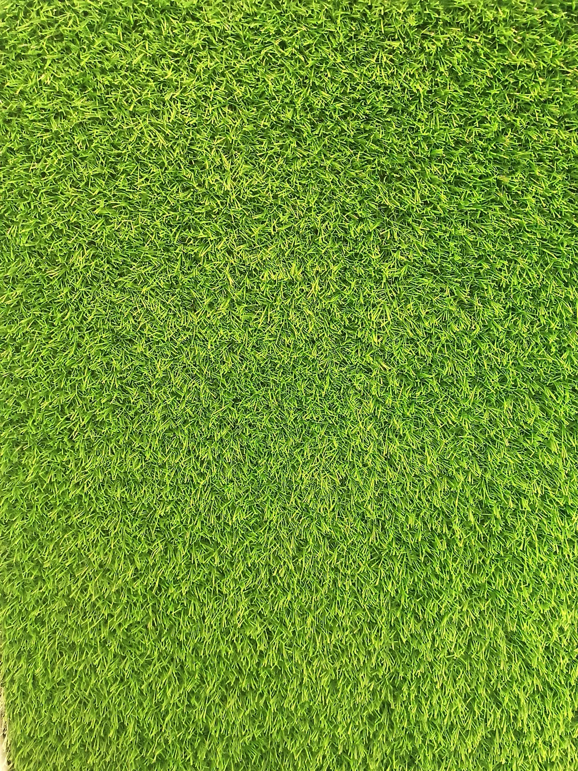 greenstory image 06