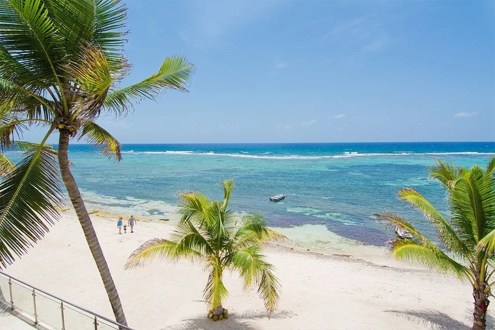 A tropical beach scene with palm trees, a sandy shore, and clear blue ocean water.