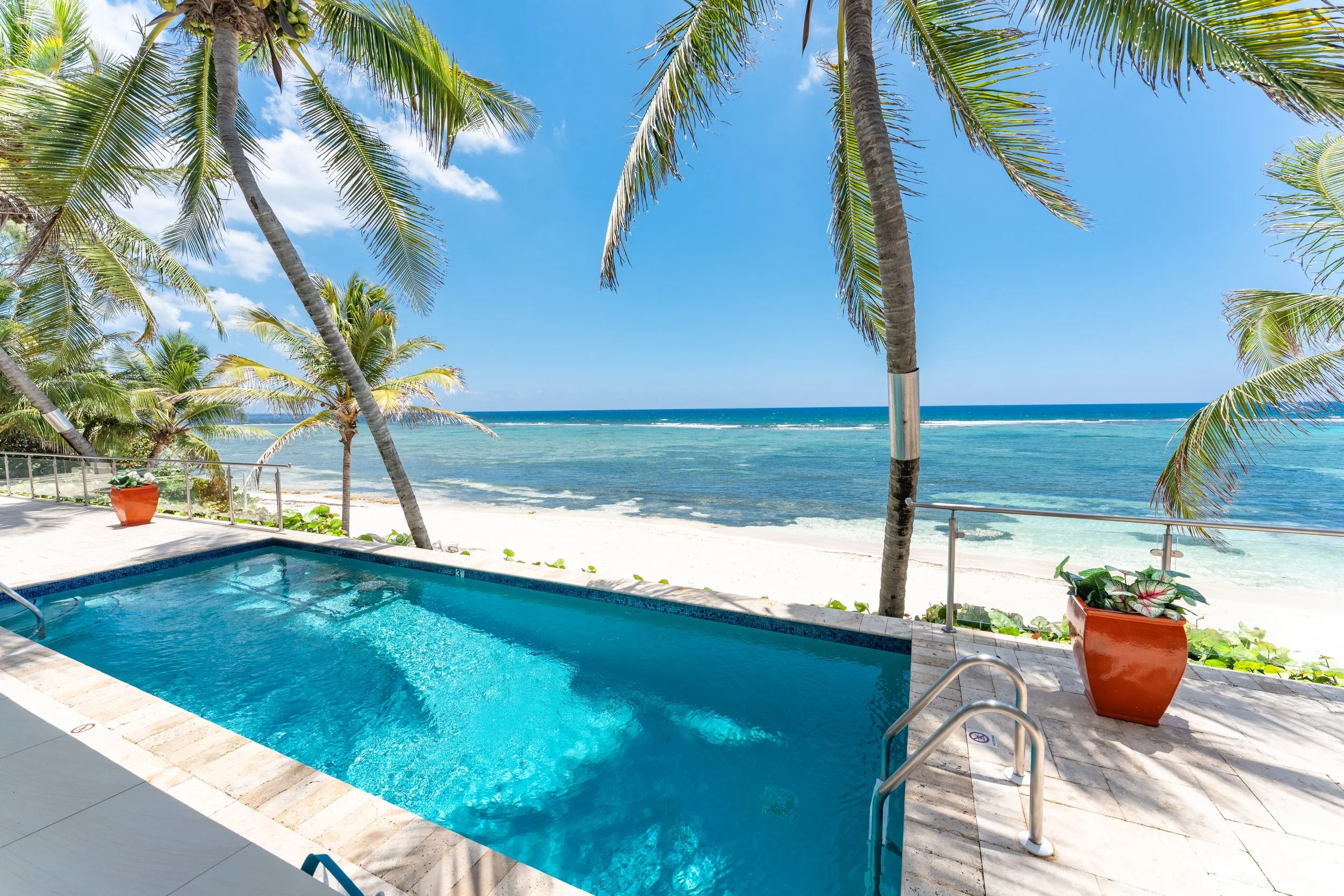 A swimming pool overlooking the beach with palm trees, blue sky, and ocean waves in the background.