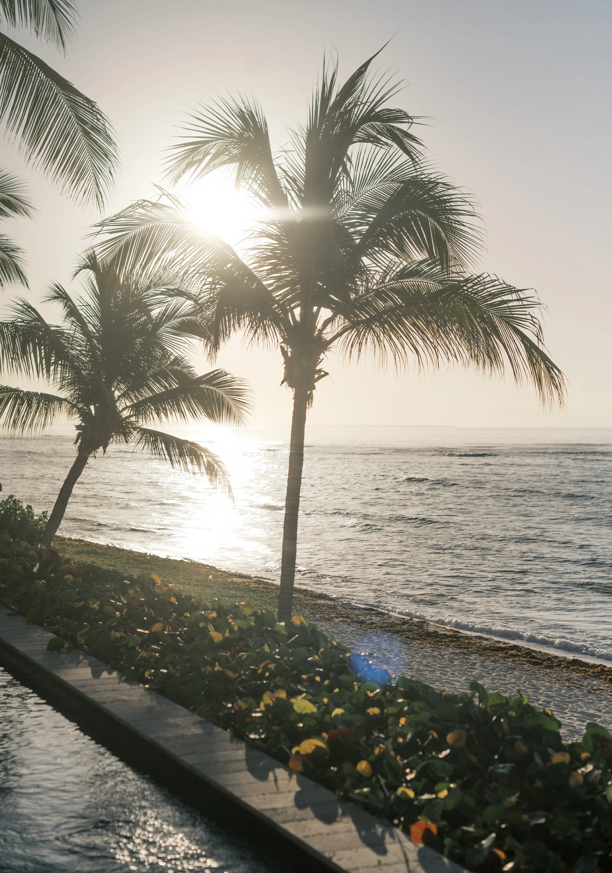Sunset over a beach with palm trees, a boardwalk, and ocean waves, creating a tropical scene.