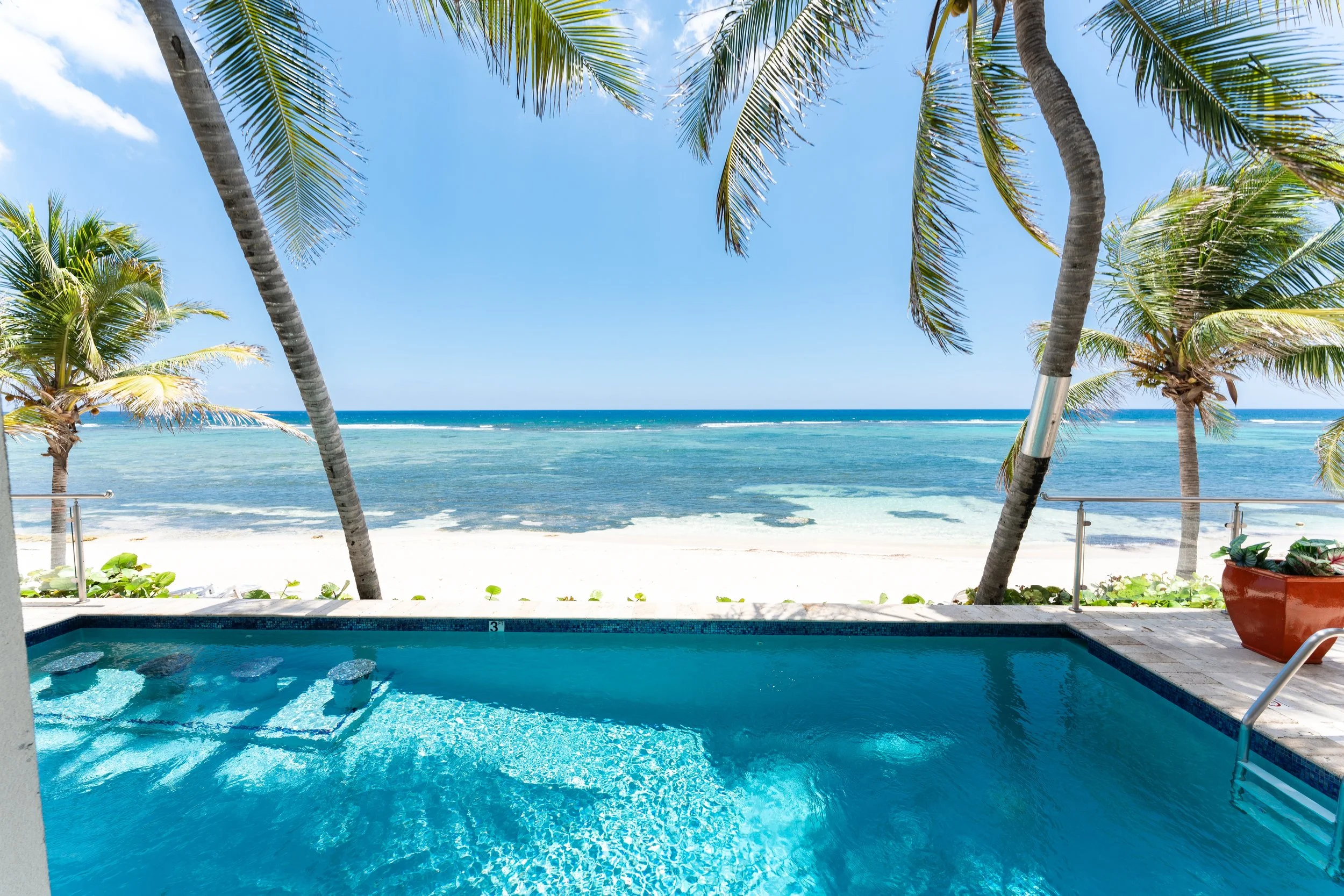 Poolside view overlooking the ocean with palm trees and a clear blue sky in the background.