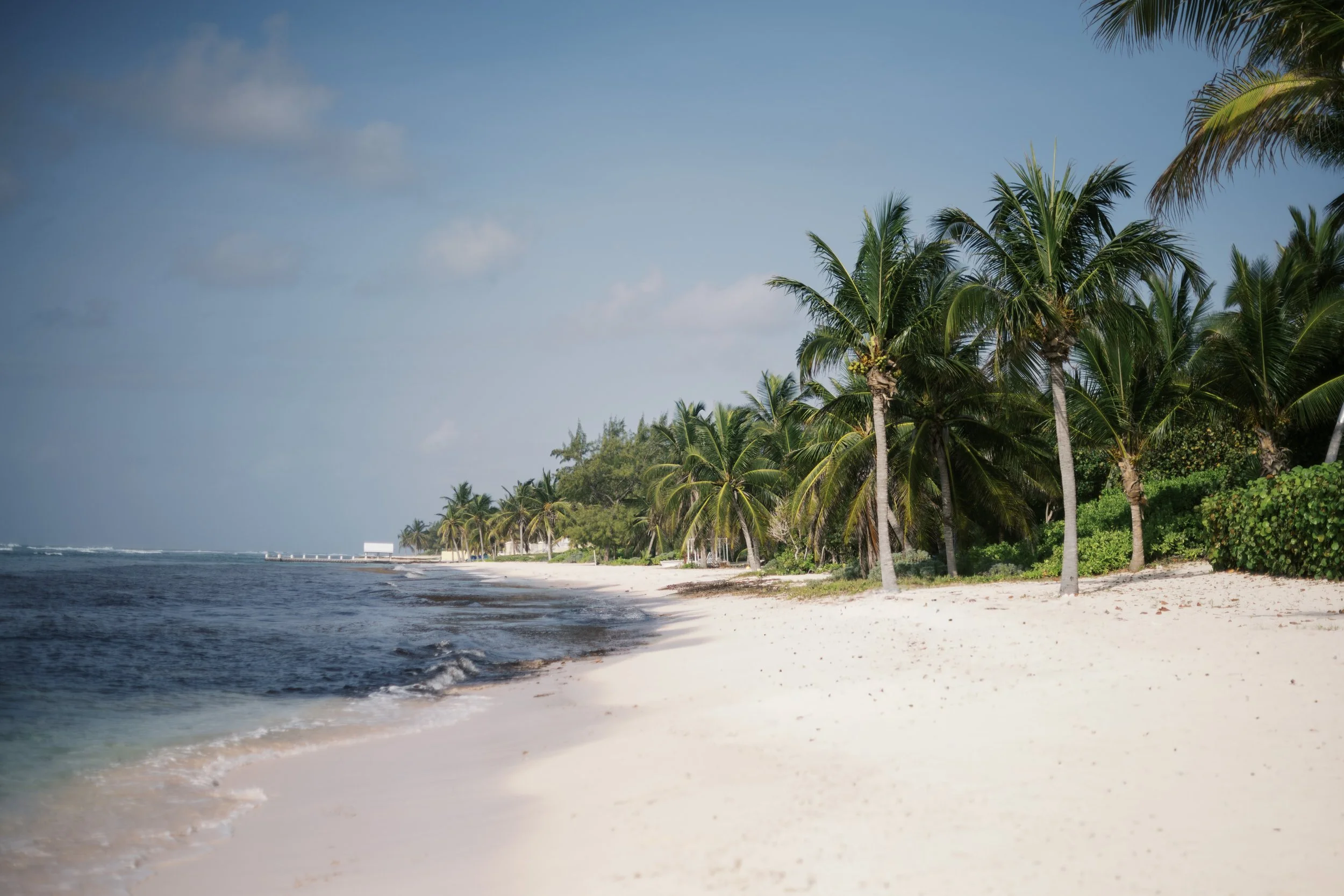 A tropical beach scene with white sand, calm water, and a line of tall palm trees along the shoreline under a partly cloudy sky.