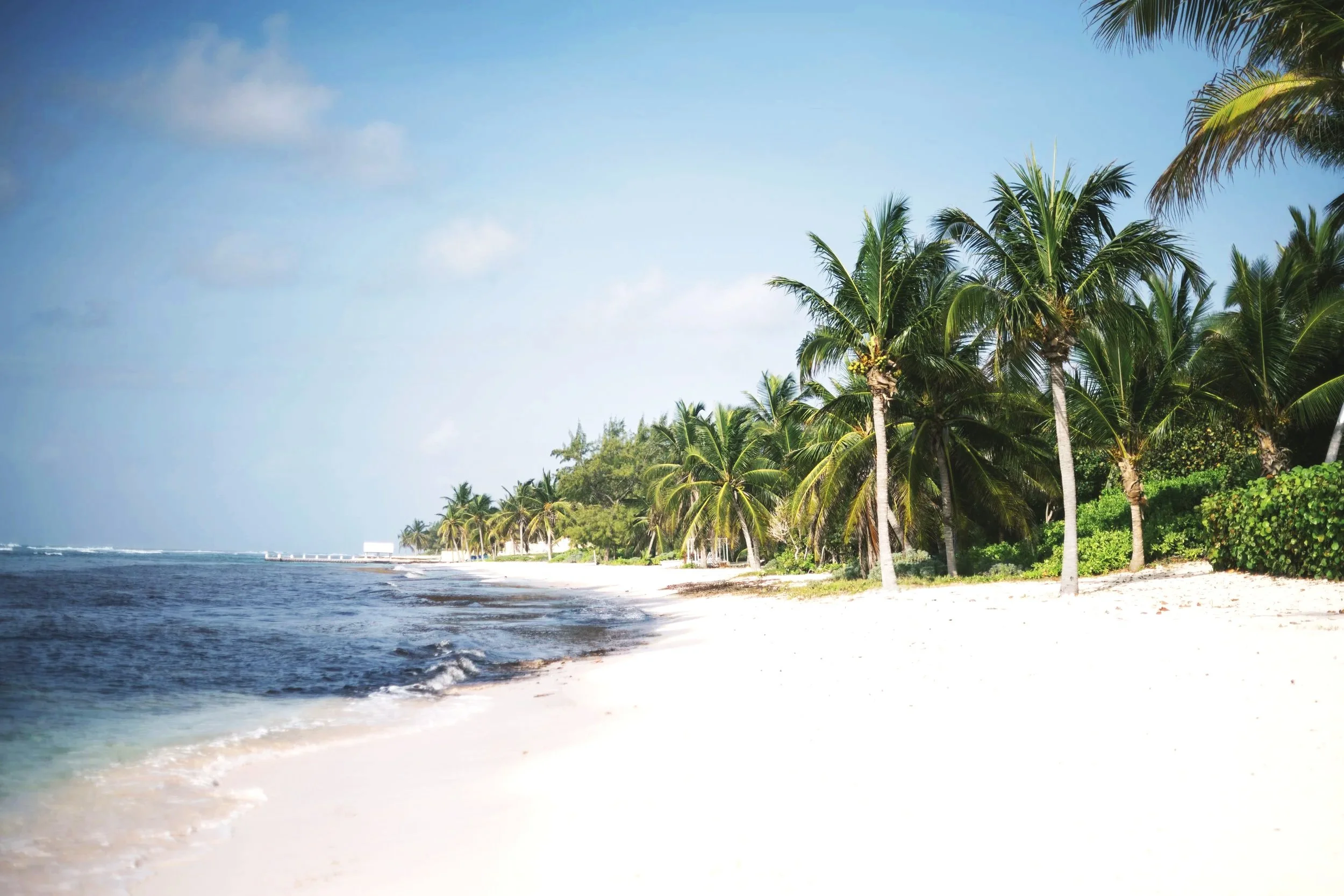 Beach with white sand, calm water, and dense green palm trees under a partly cloudy sky.