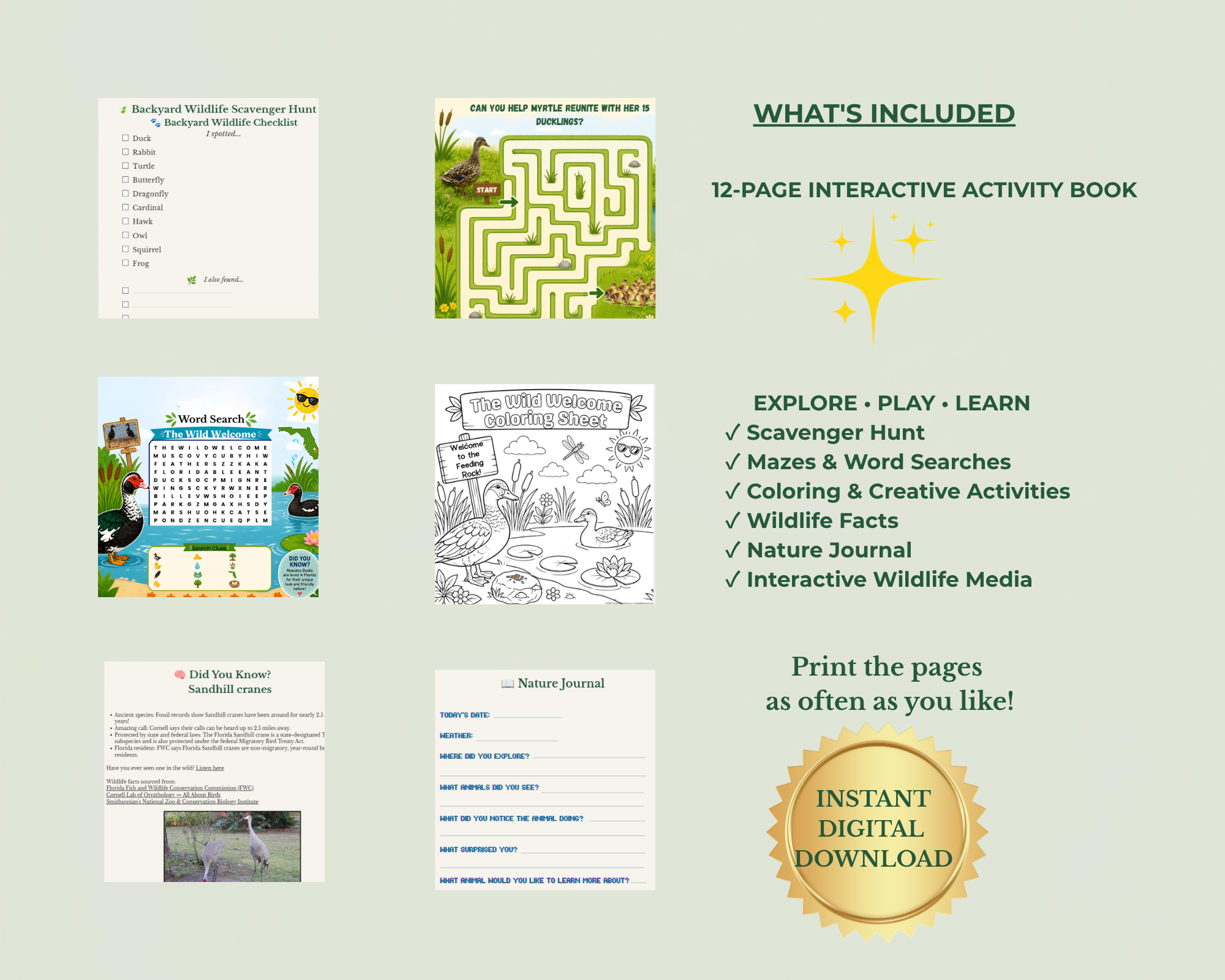 What's included.png