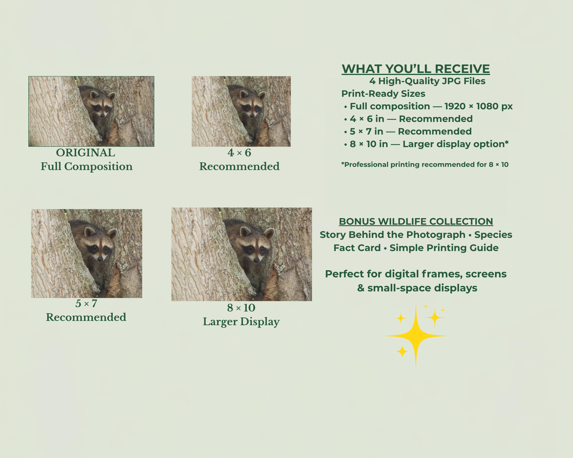 4 size Overview.png