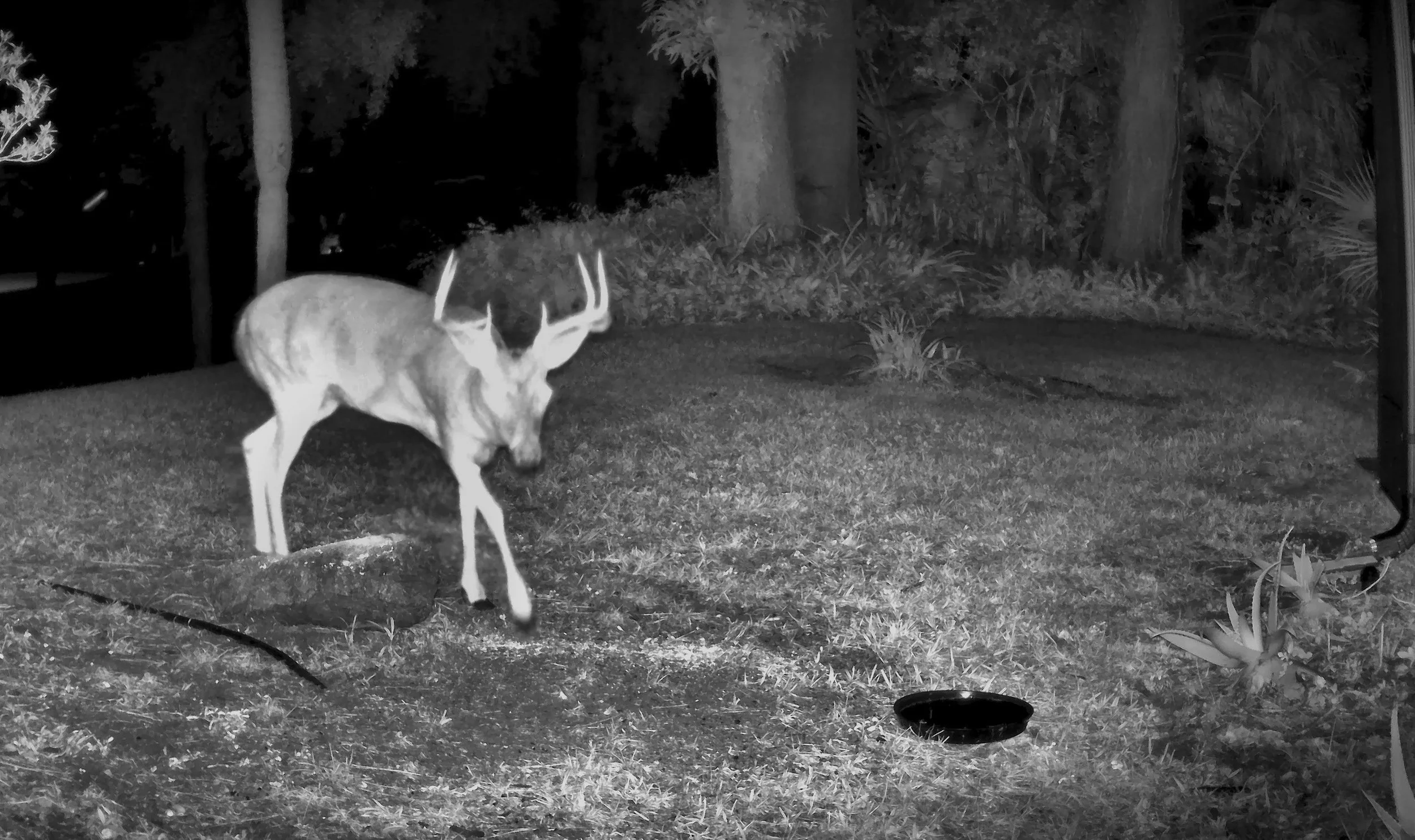 A Different-Looking Rack - September 19, 2026.