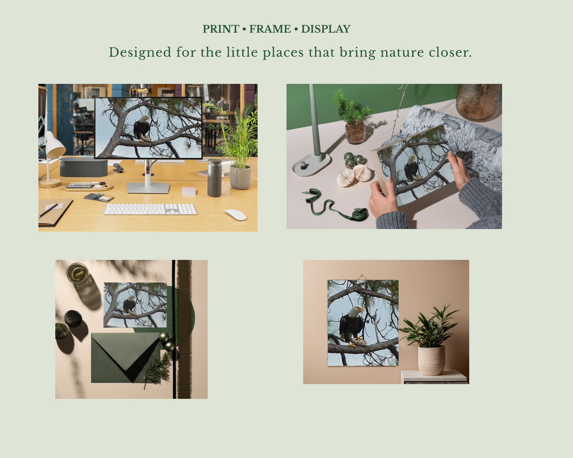 Print & Display.png
