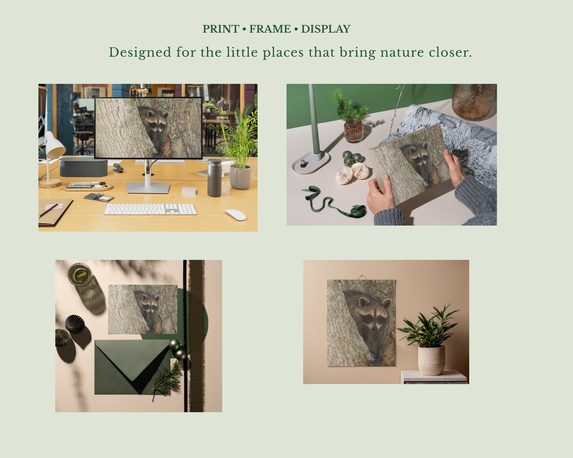 Print & Display.png