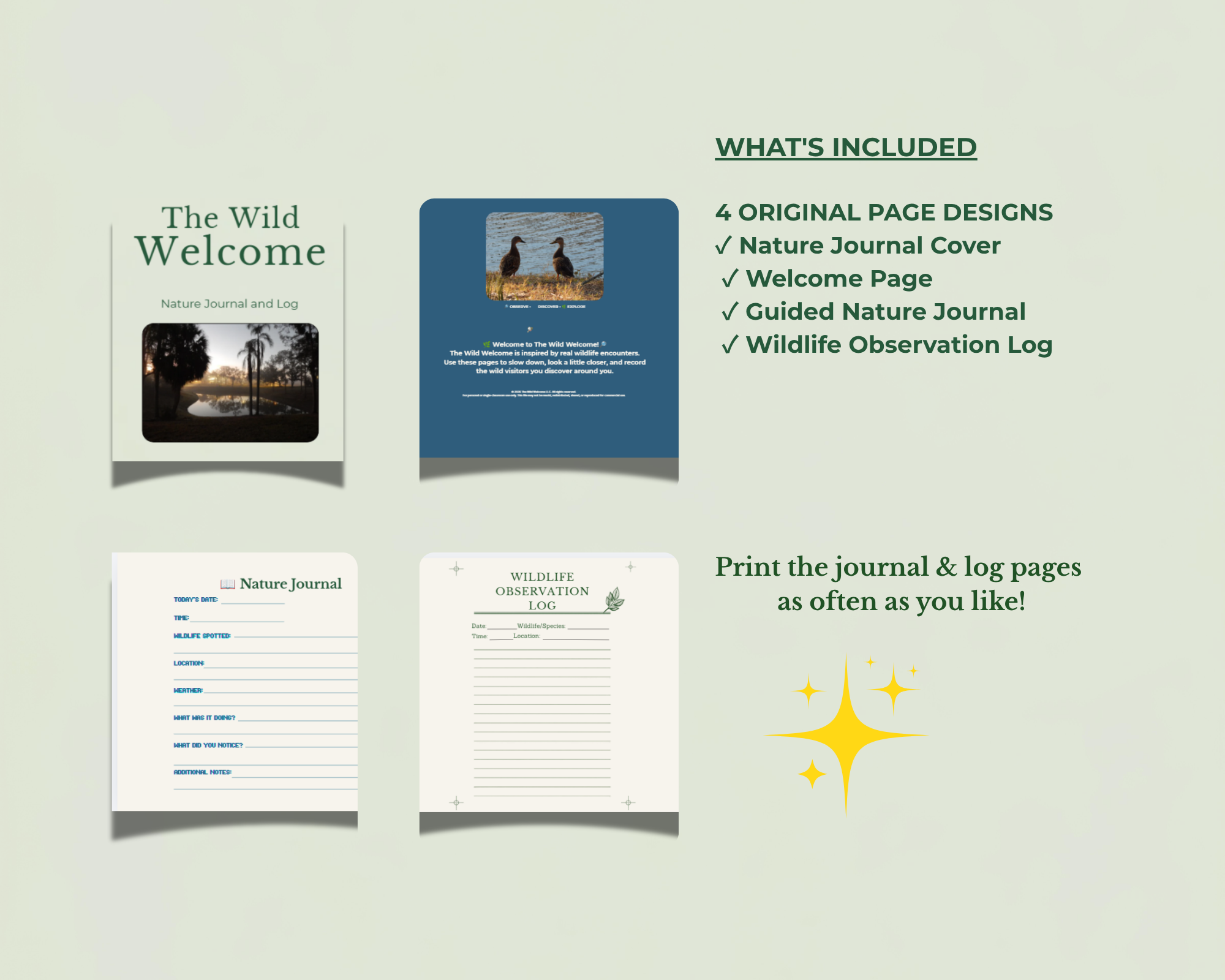 4 Page Overview.png