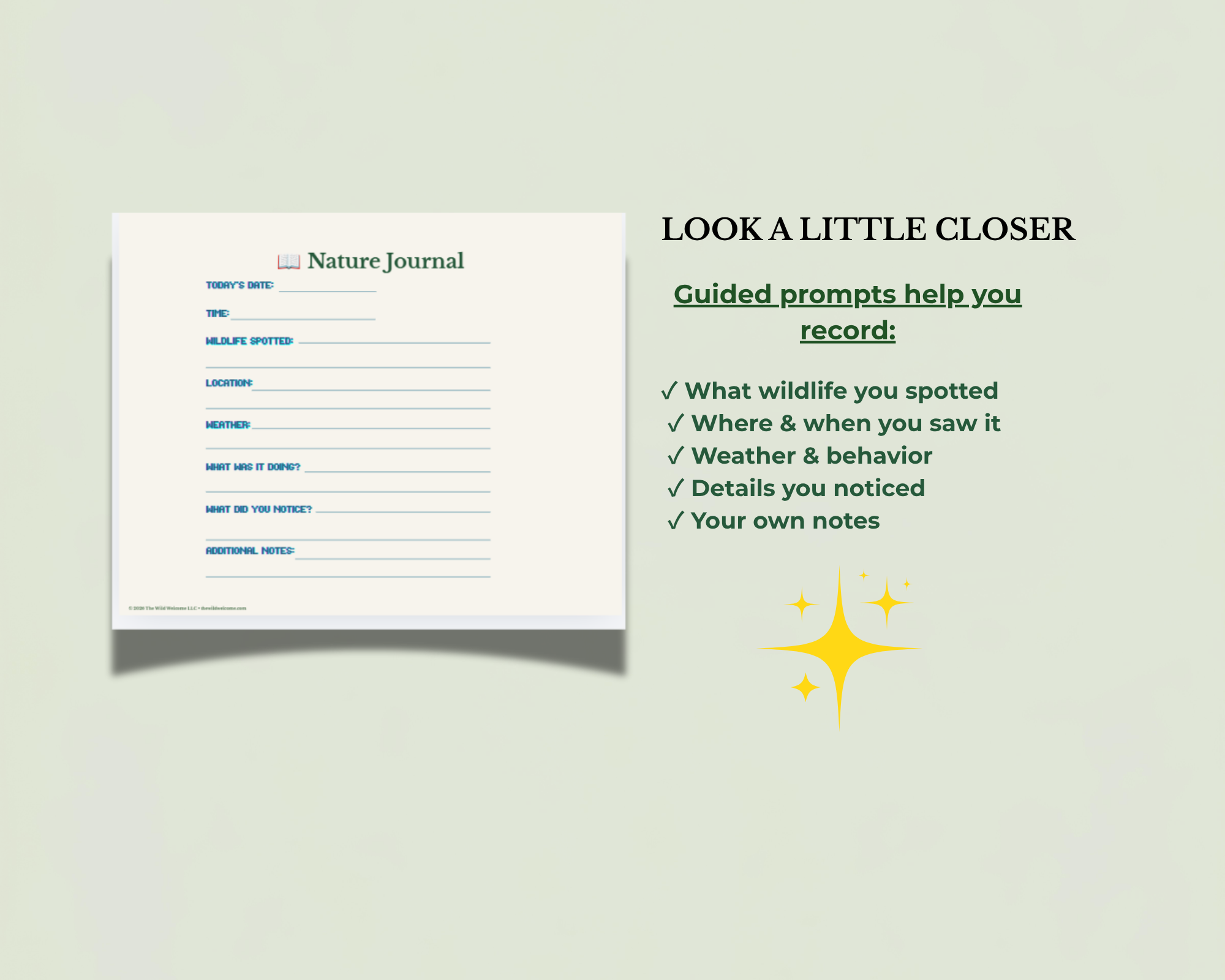 Guided Nature Journal.png