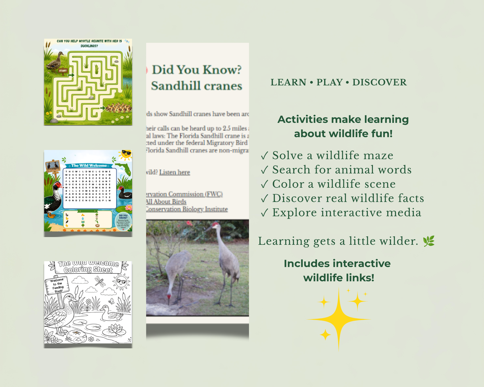 Learn + Play.png
