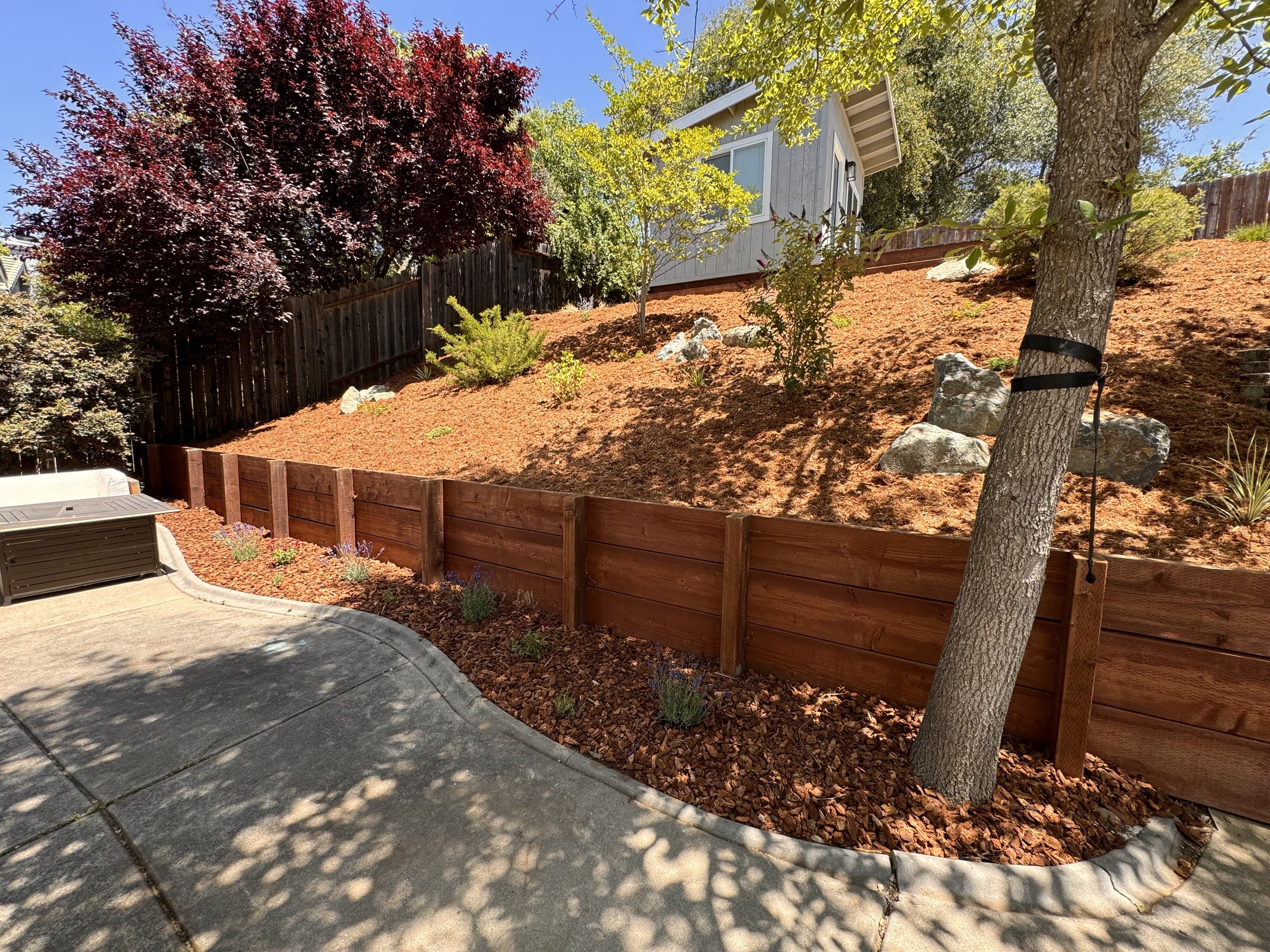 Hill landscape - Folsom, CA