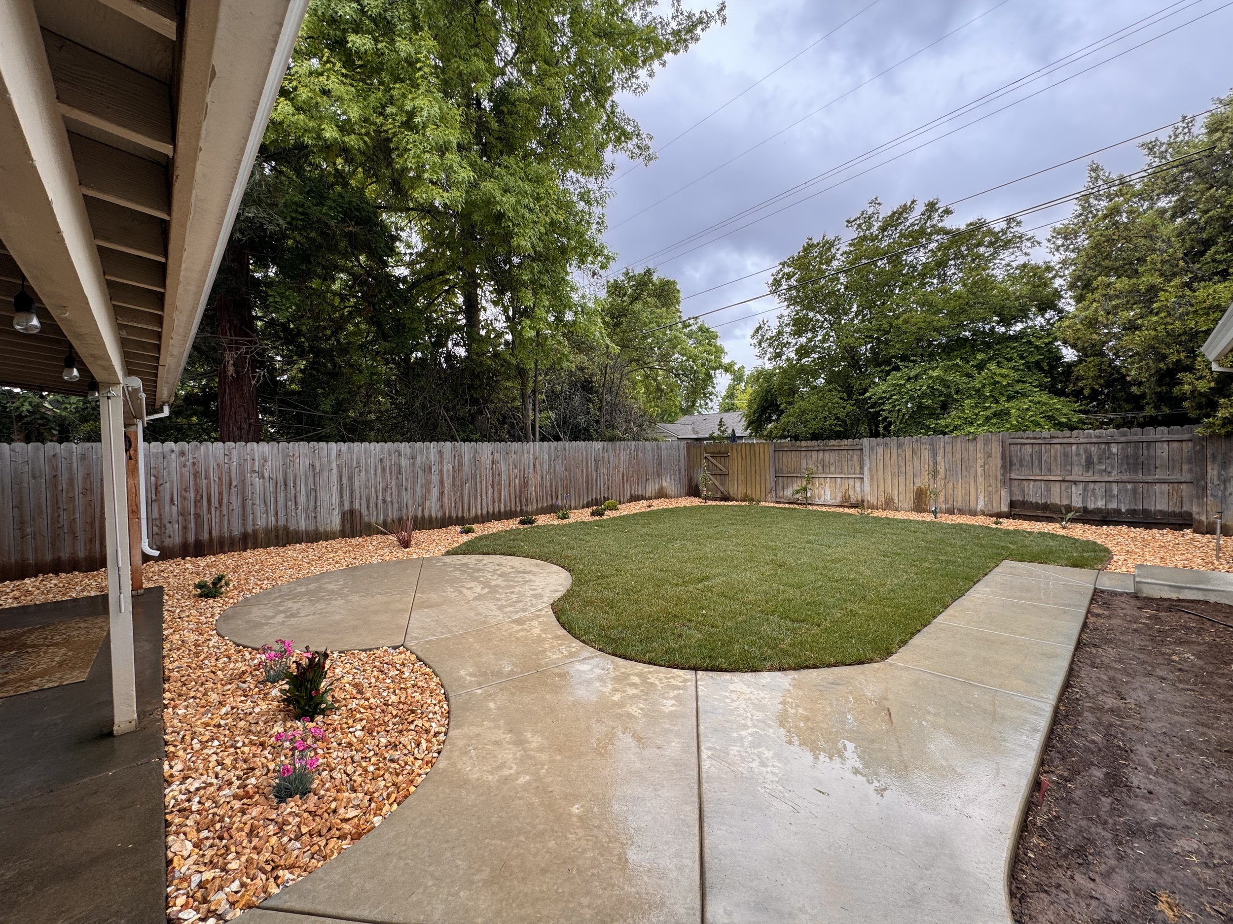 Backyard landscape - Arden 