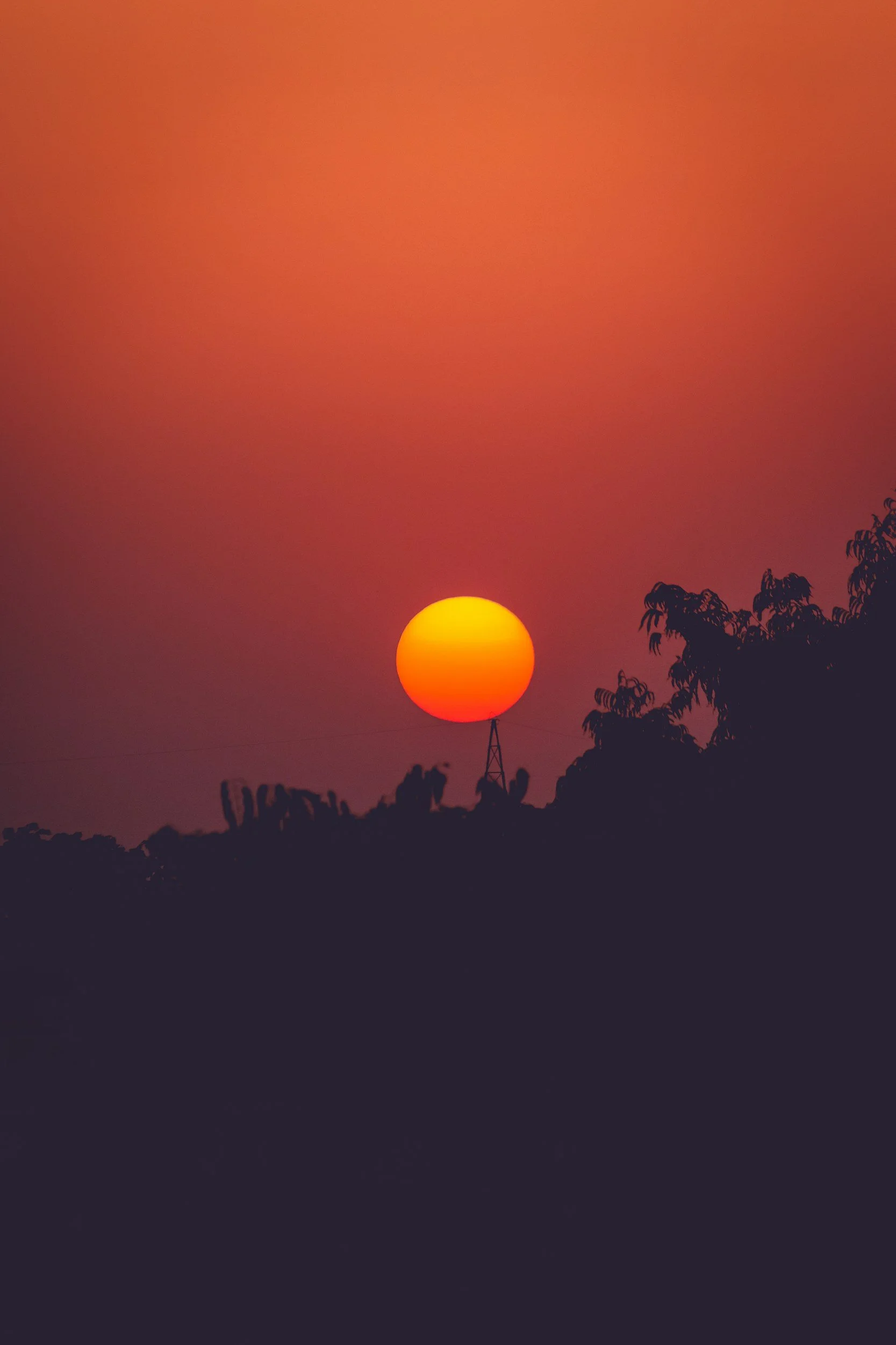A sunset with the sun near the horizon, silhouettes of trees and a transmission tower against an orange sky.