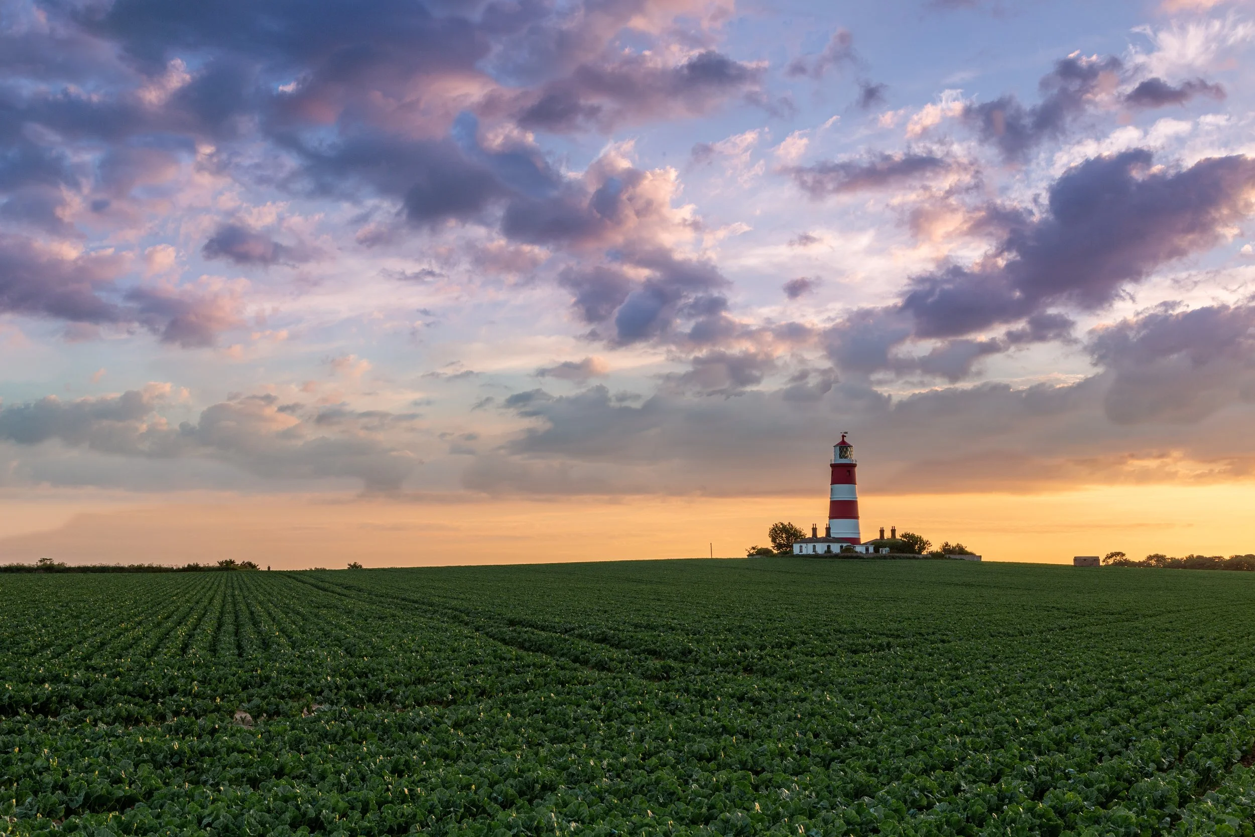 Photo Tour of Norfolk
