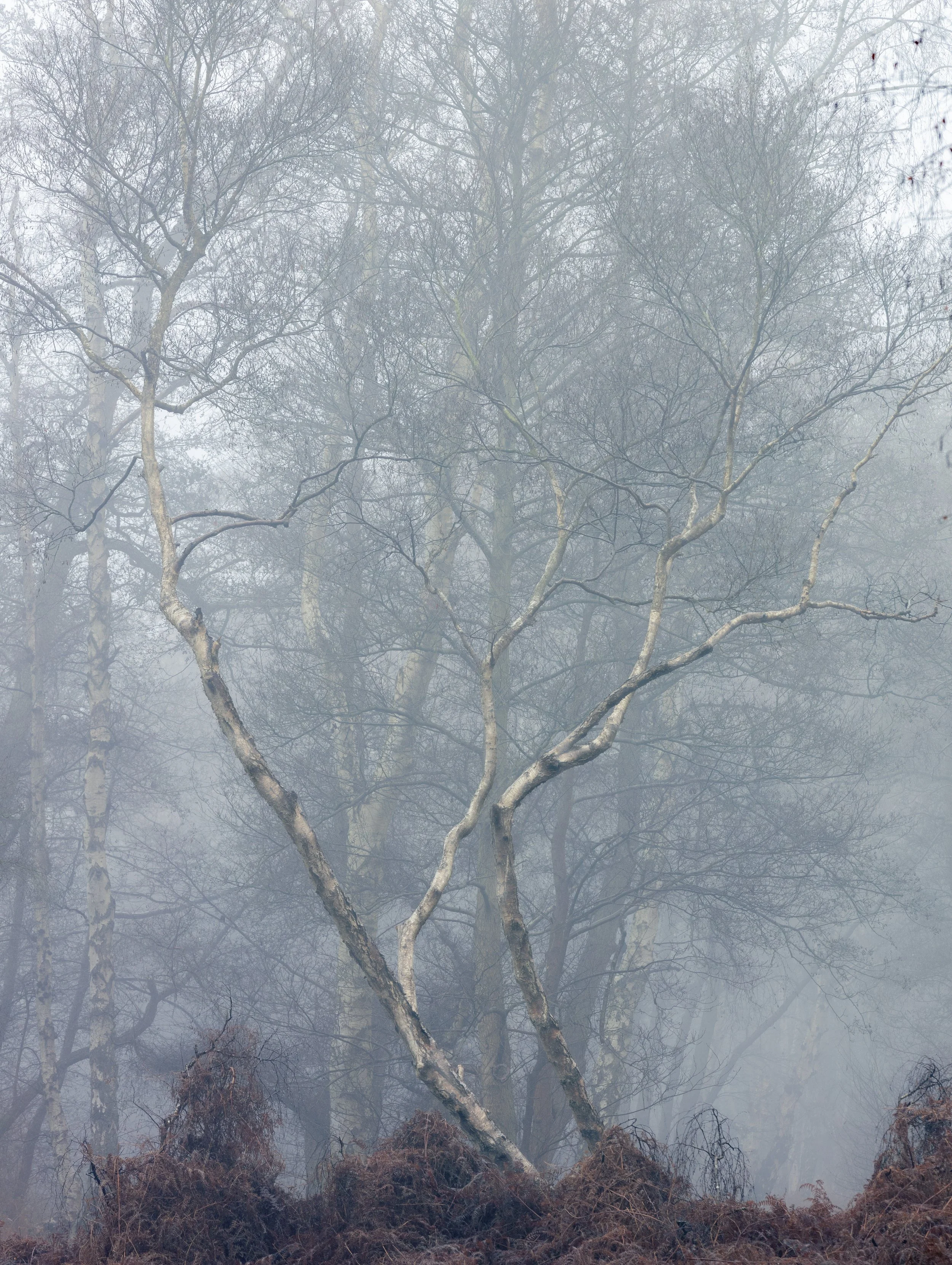 EOSR0032.jpg