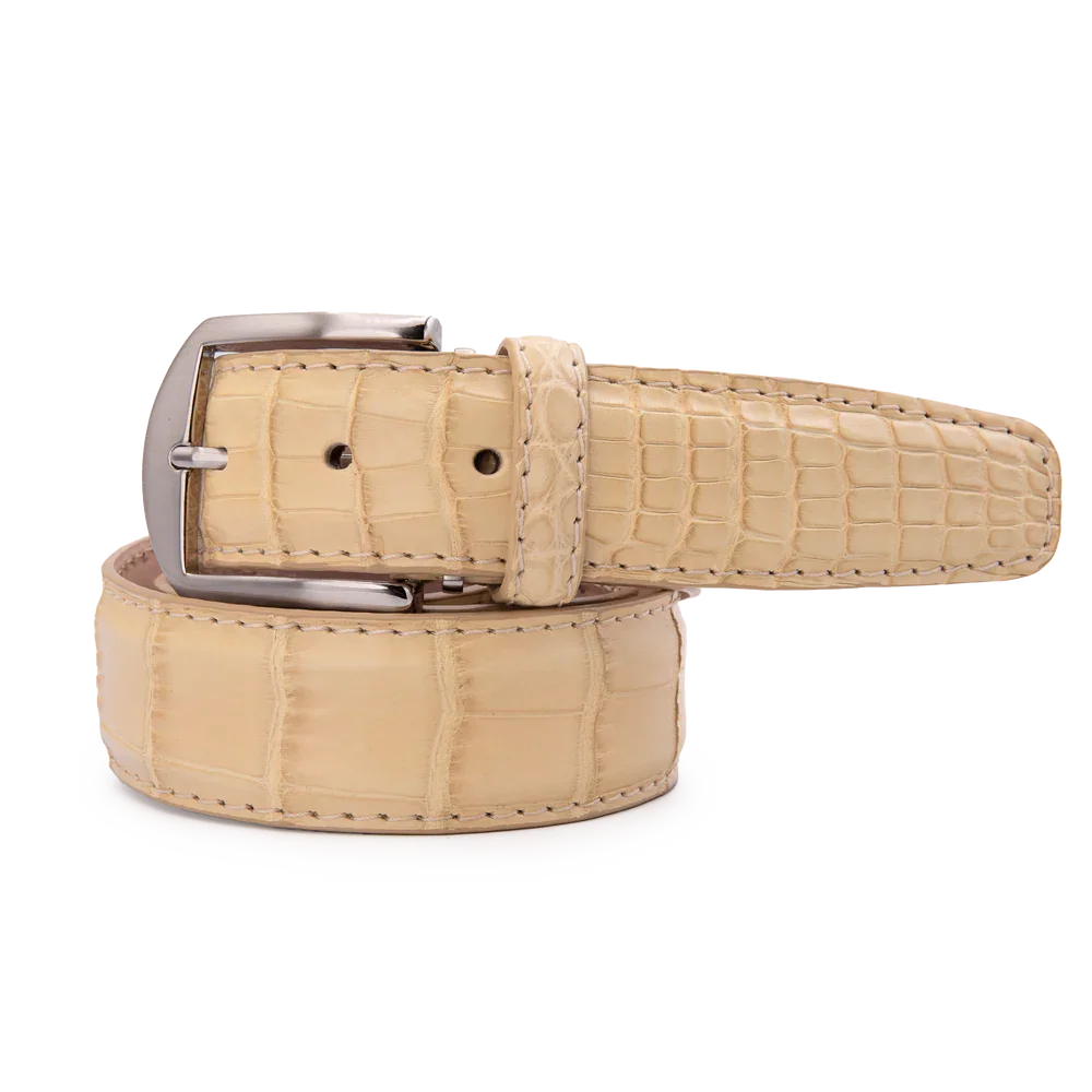 American Alligator - Butter 2.webp