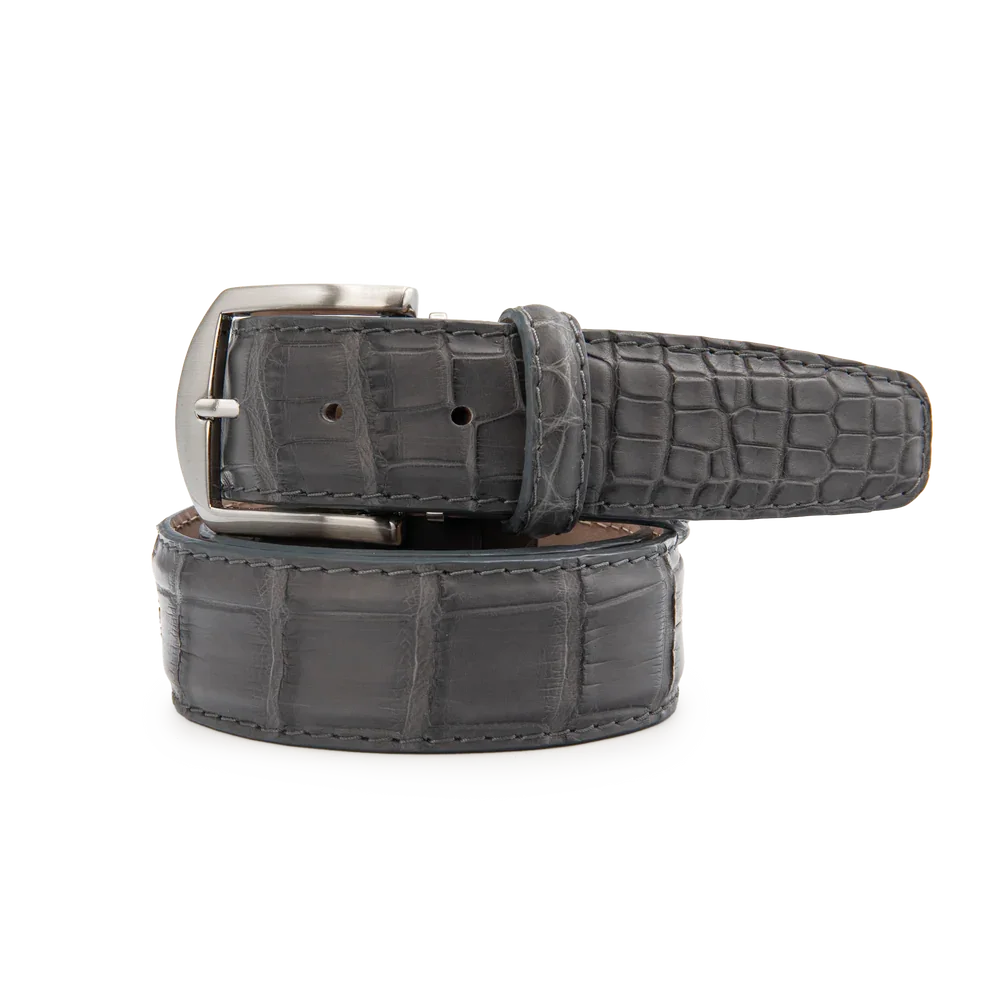 American Alligator - Grey 2.webp
