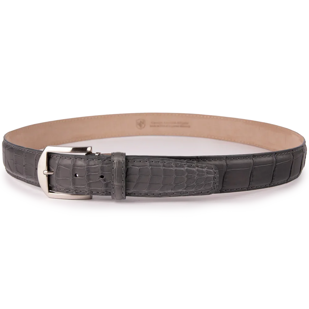 American Alligator - Grey.webp