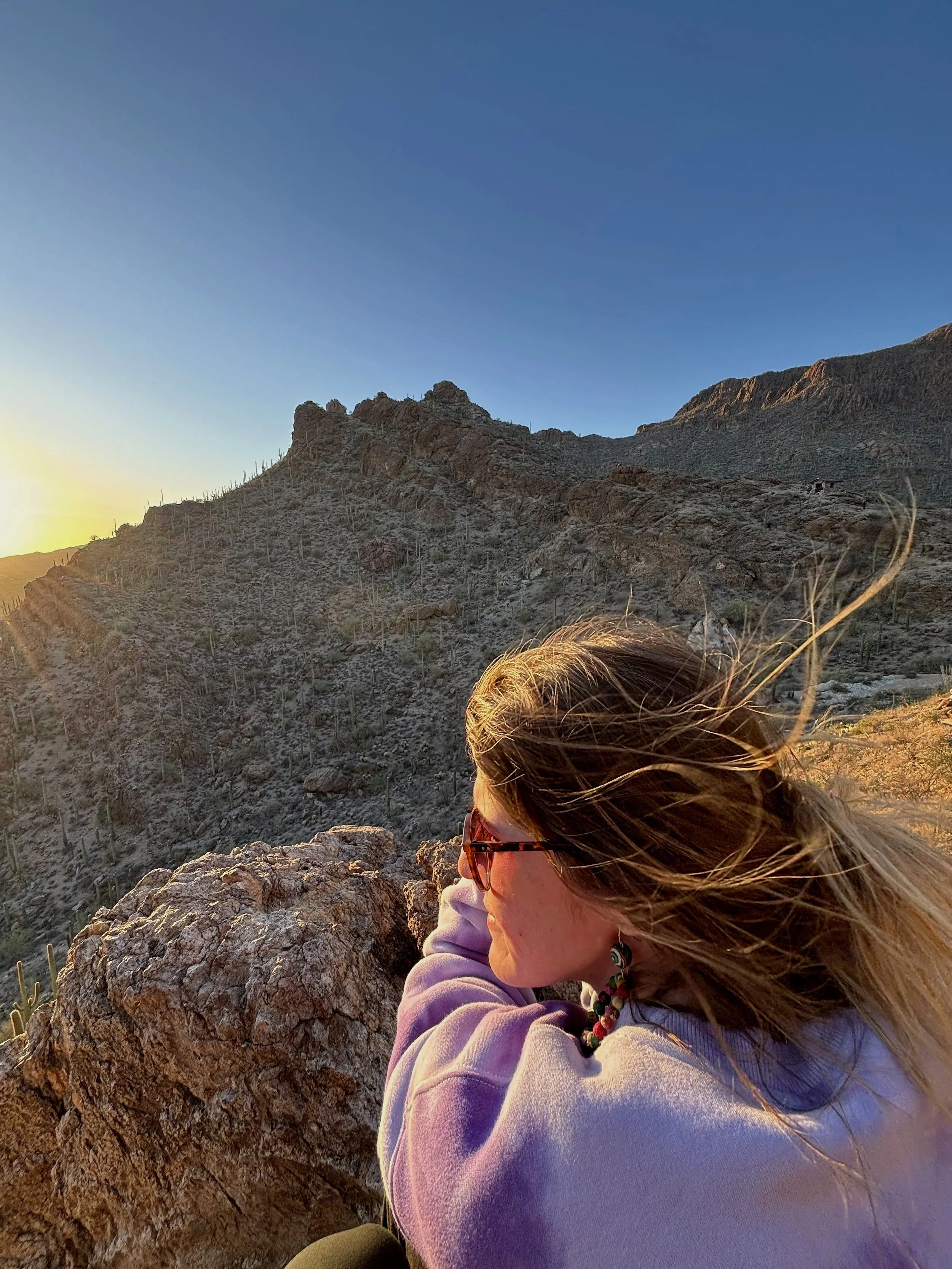 A woman with long hair, wearing sunglasses and a purple jacket, is sitting on a rock in a desert landscape with mountains and cacti, during sunset.