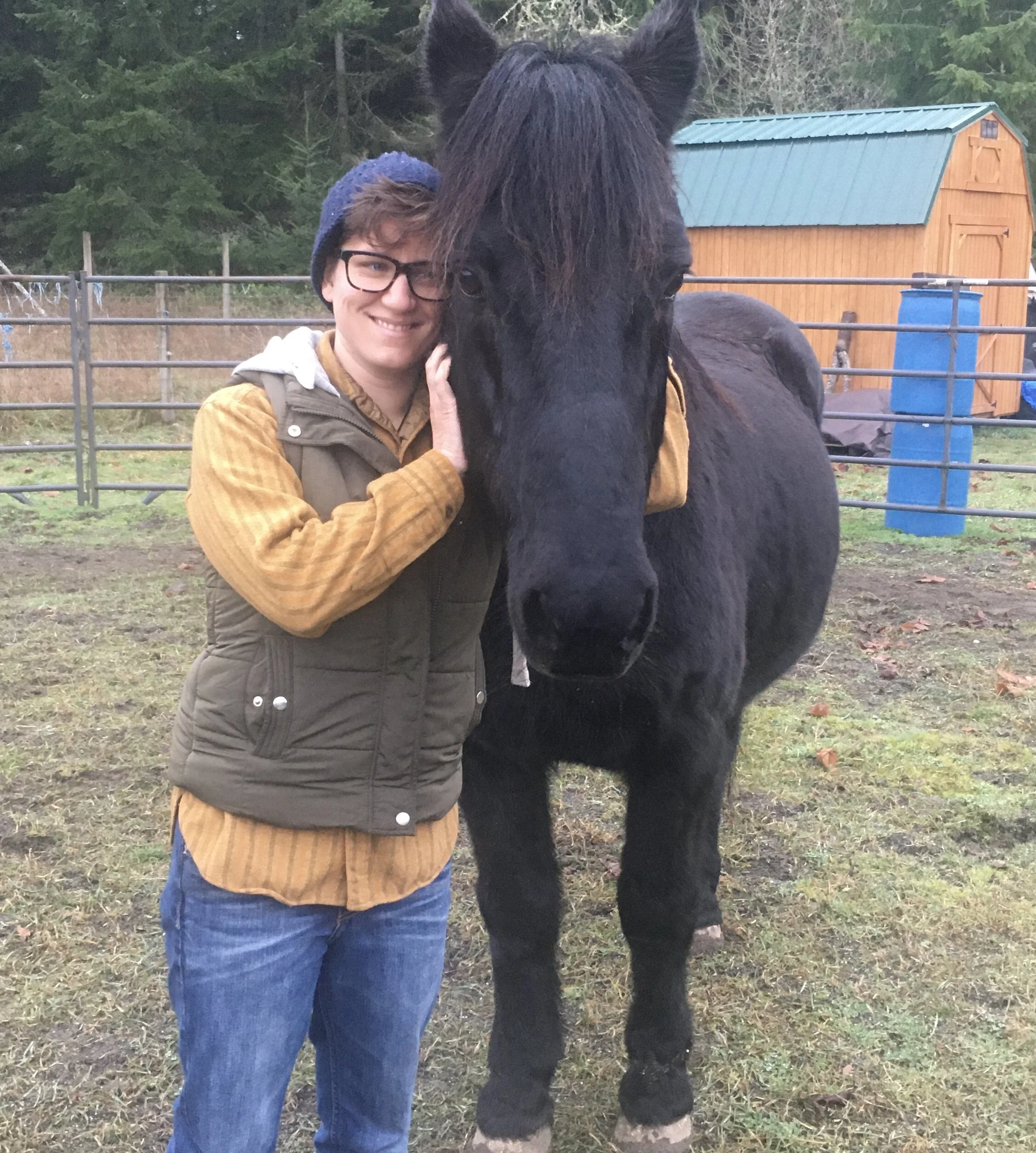 A person wearing glasses and a brown jacket is smiling and touching a large black horse. They are standing outside in a fenced area with trees and a small wooden shed in the background.