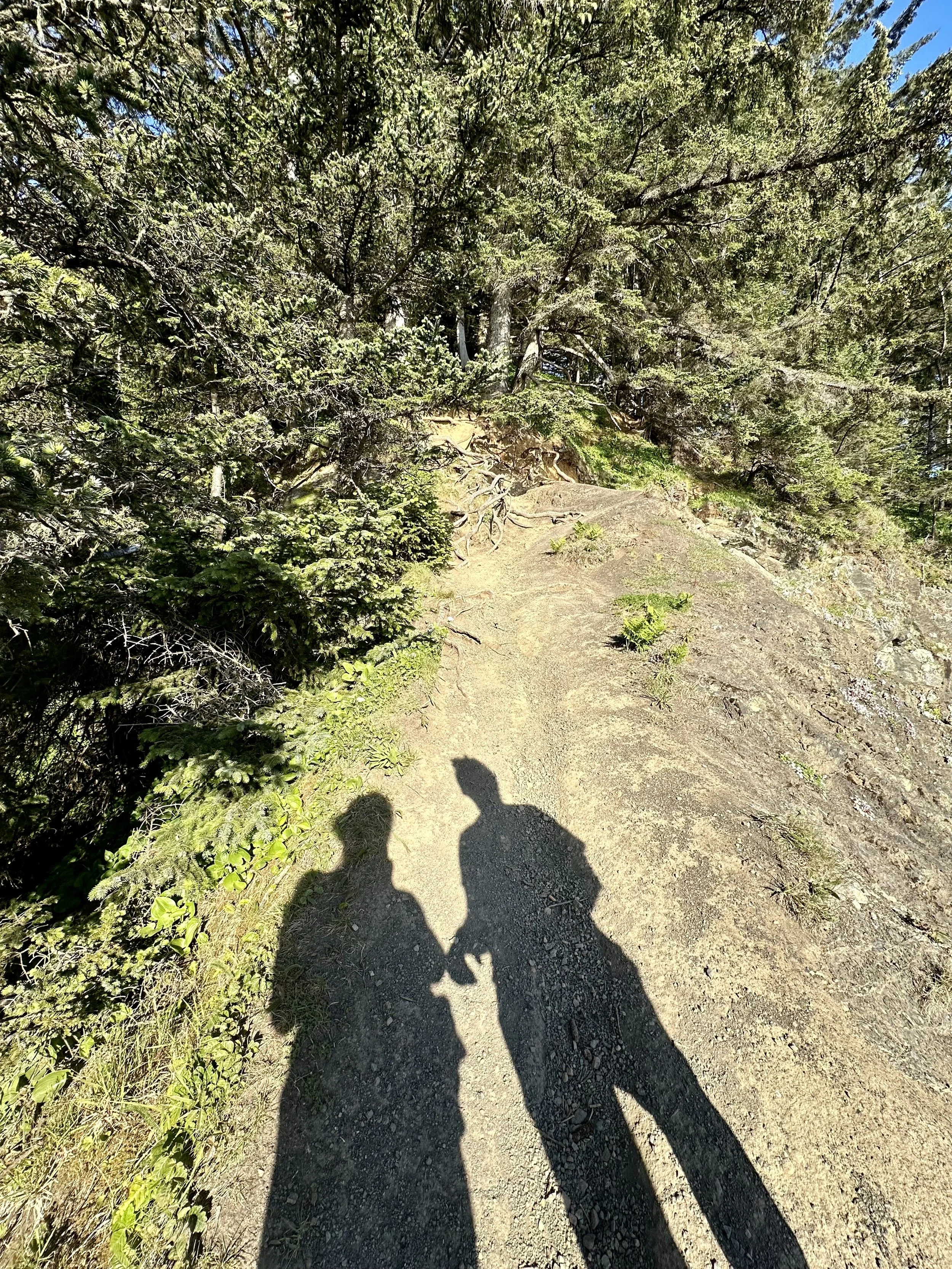 A dirt trail on a mountain surrounded by green trees and shrubs, with shadows of two people on the ground.
