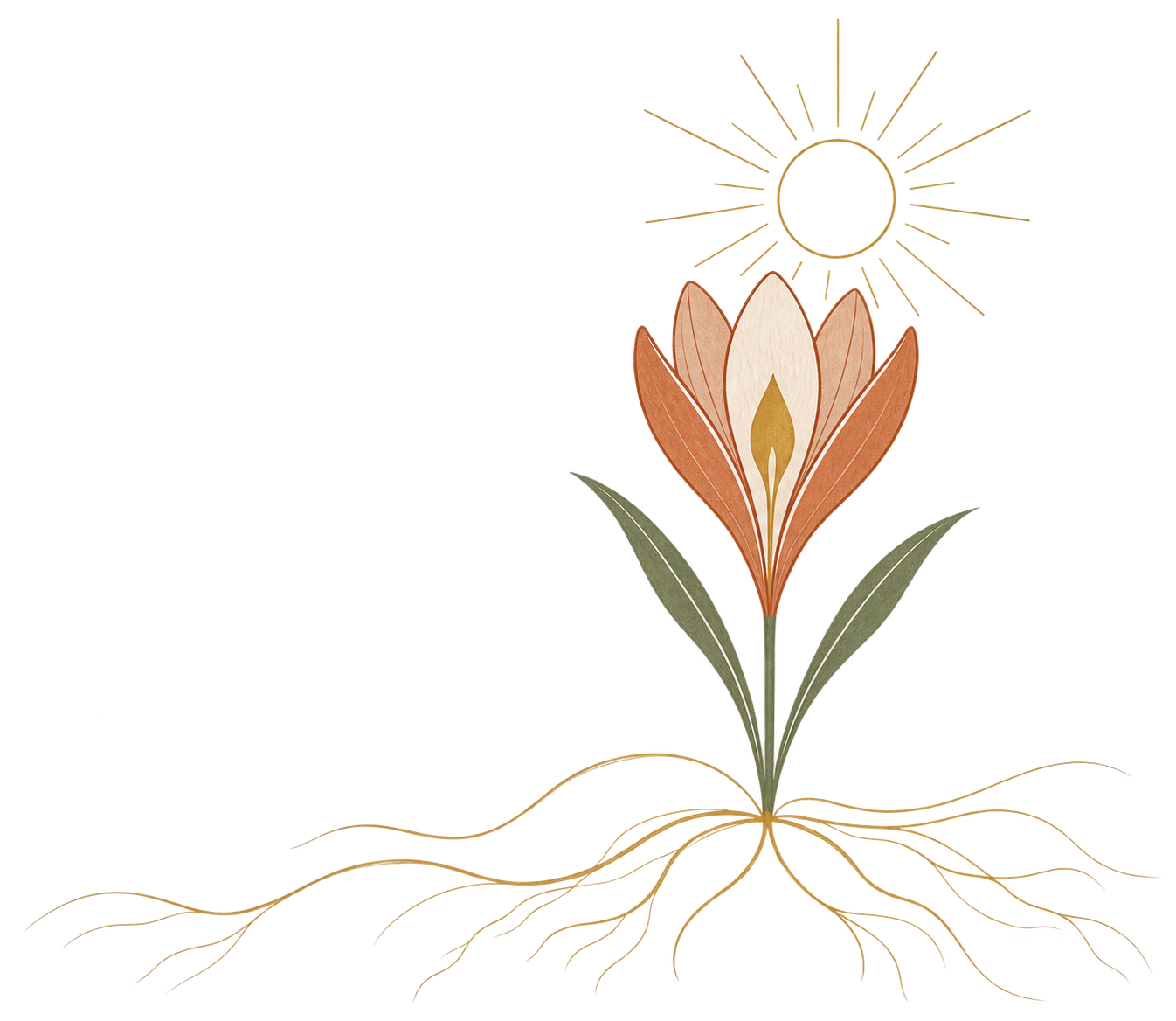 Illustration of a stylized crocus flower with roots beneath it, emitting a radiant sunlight-like pattern from its top.