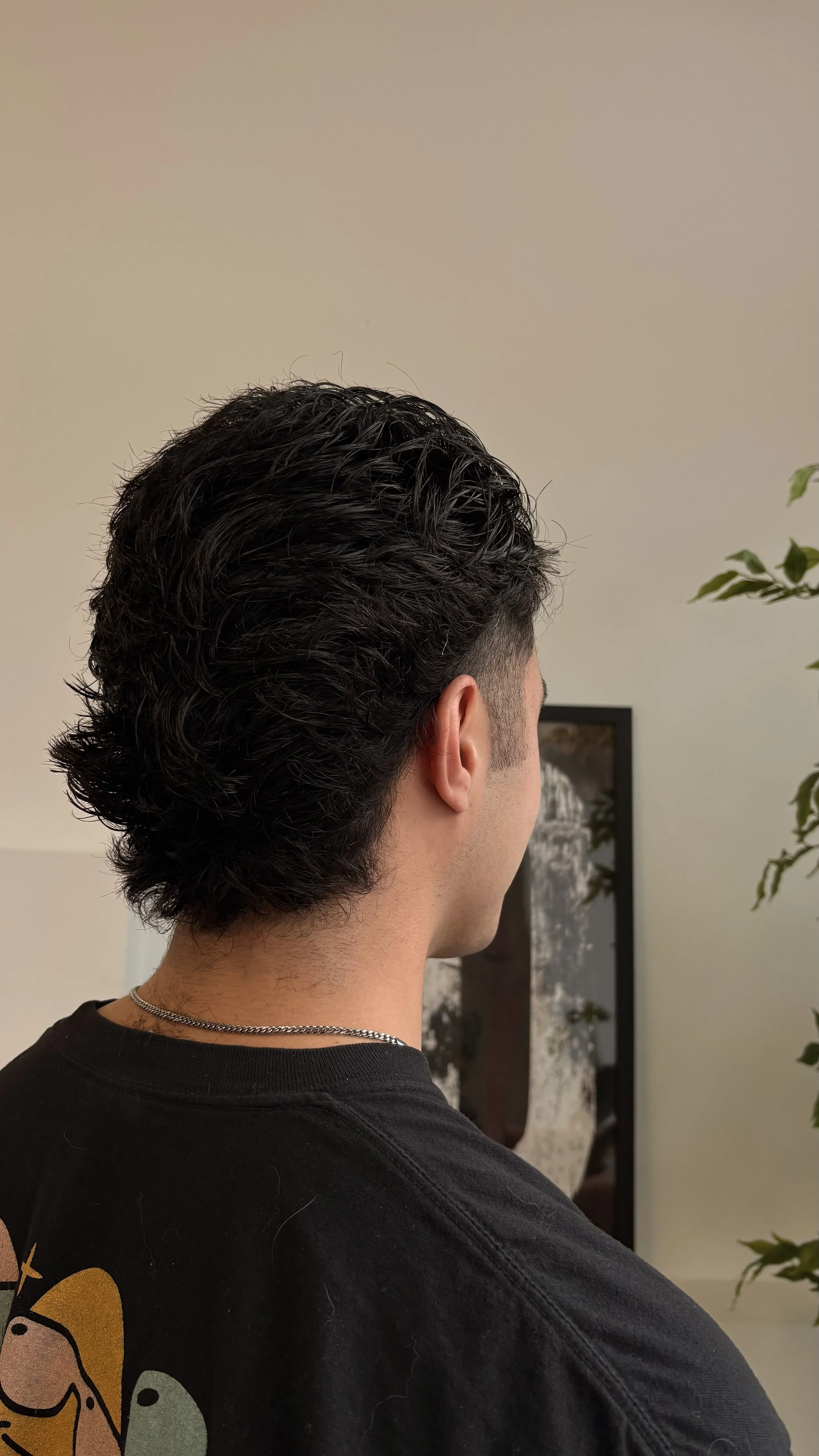 Back view of a man with dark, wavy hair and light skin, wearing a black T-shirt with a cartoon character and a silver chain necklace, indoors with a picture frame and a green plant in the background.