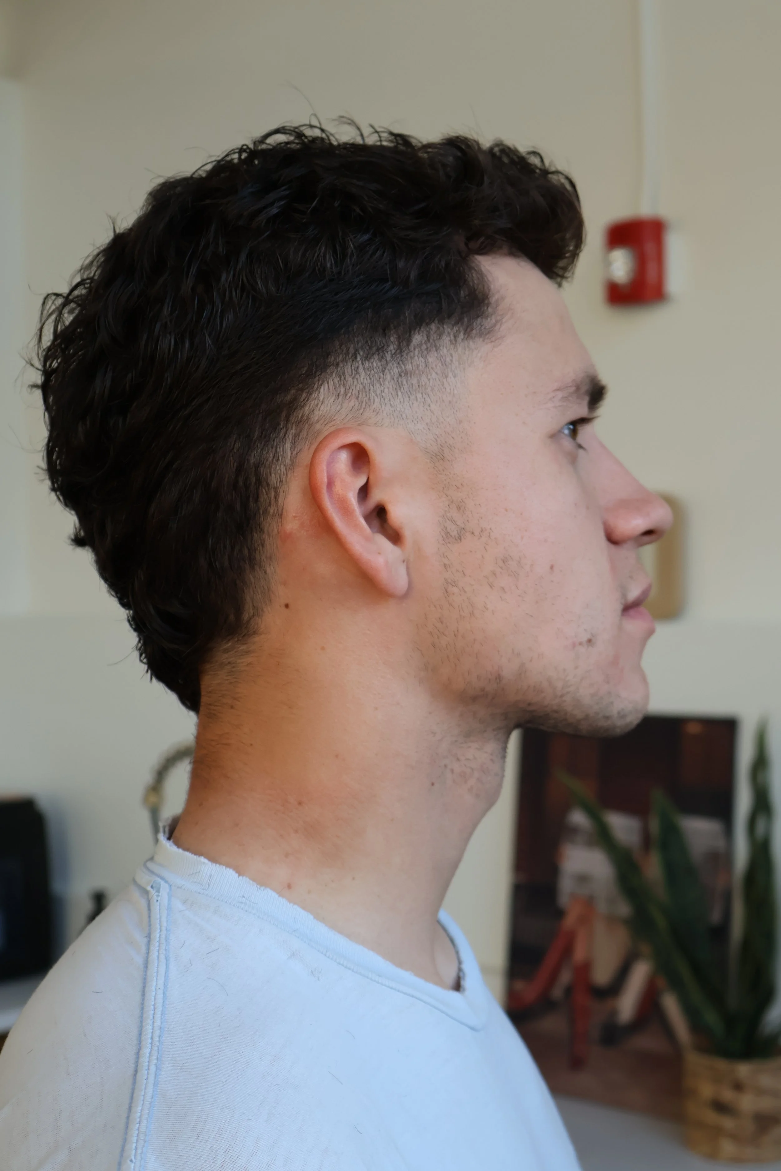 Side view of a young man with curly dark hair, short sides, wearing a white shirt, standing indoors with a plant and furniture visible in the background.