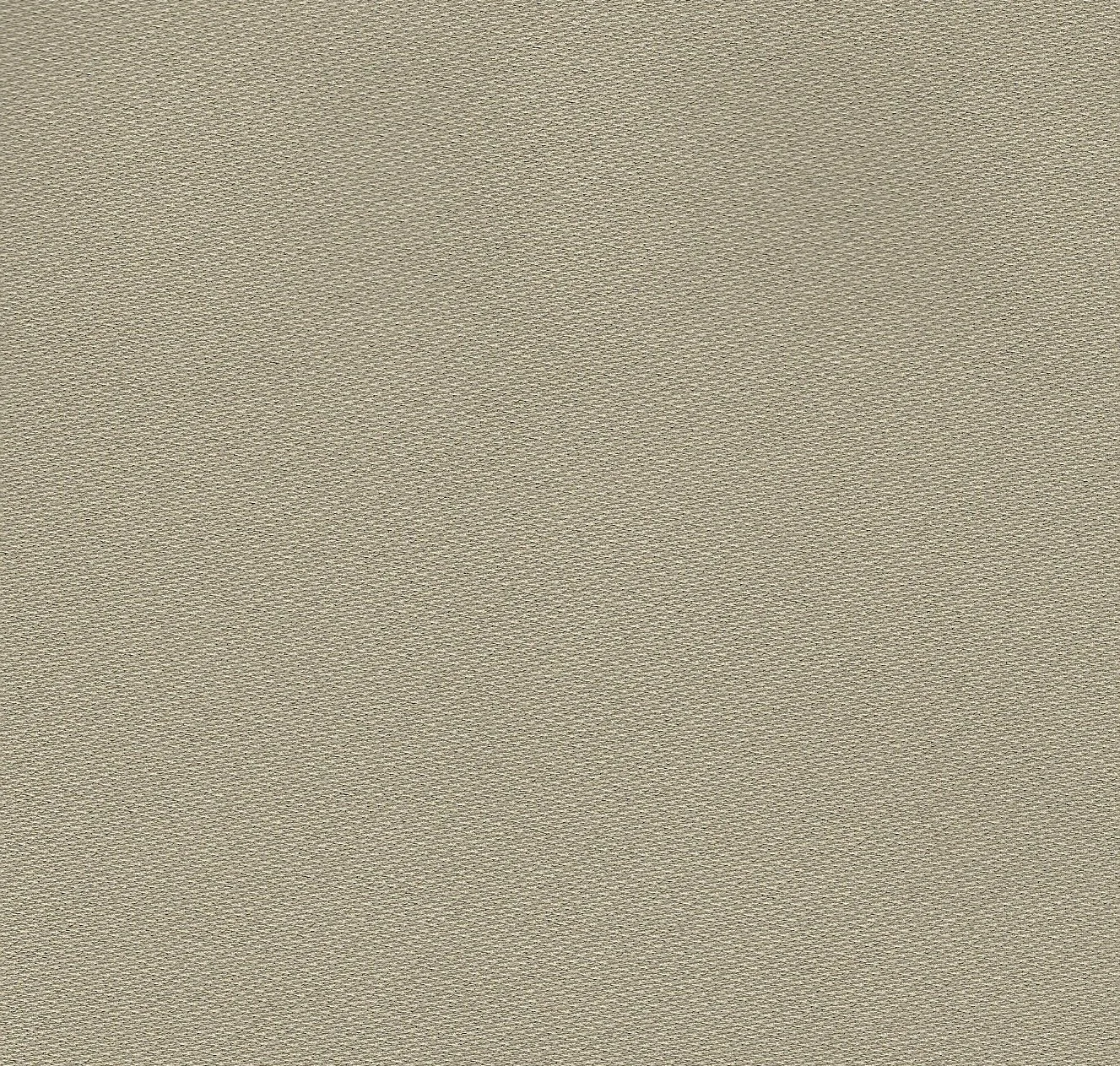 4185 Light Neutral 8x10 Sheet