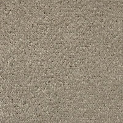 8121 Cashmere Suede 8x10 Sheet